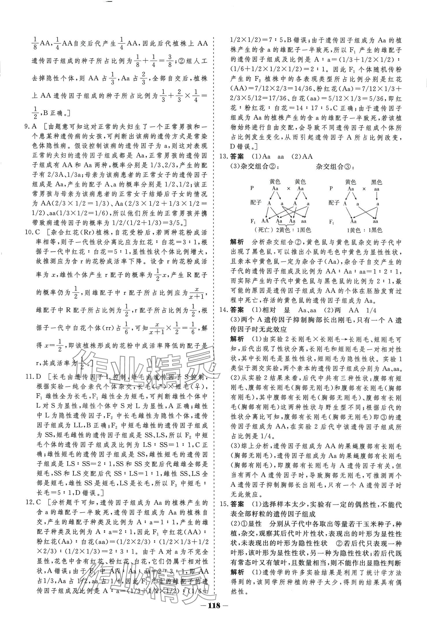 2024年金版教程高中新课程学习作业与测评高中生物必修2人教版 第3页