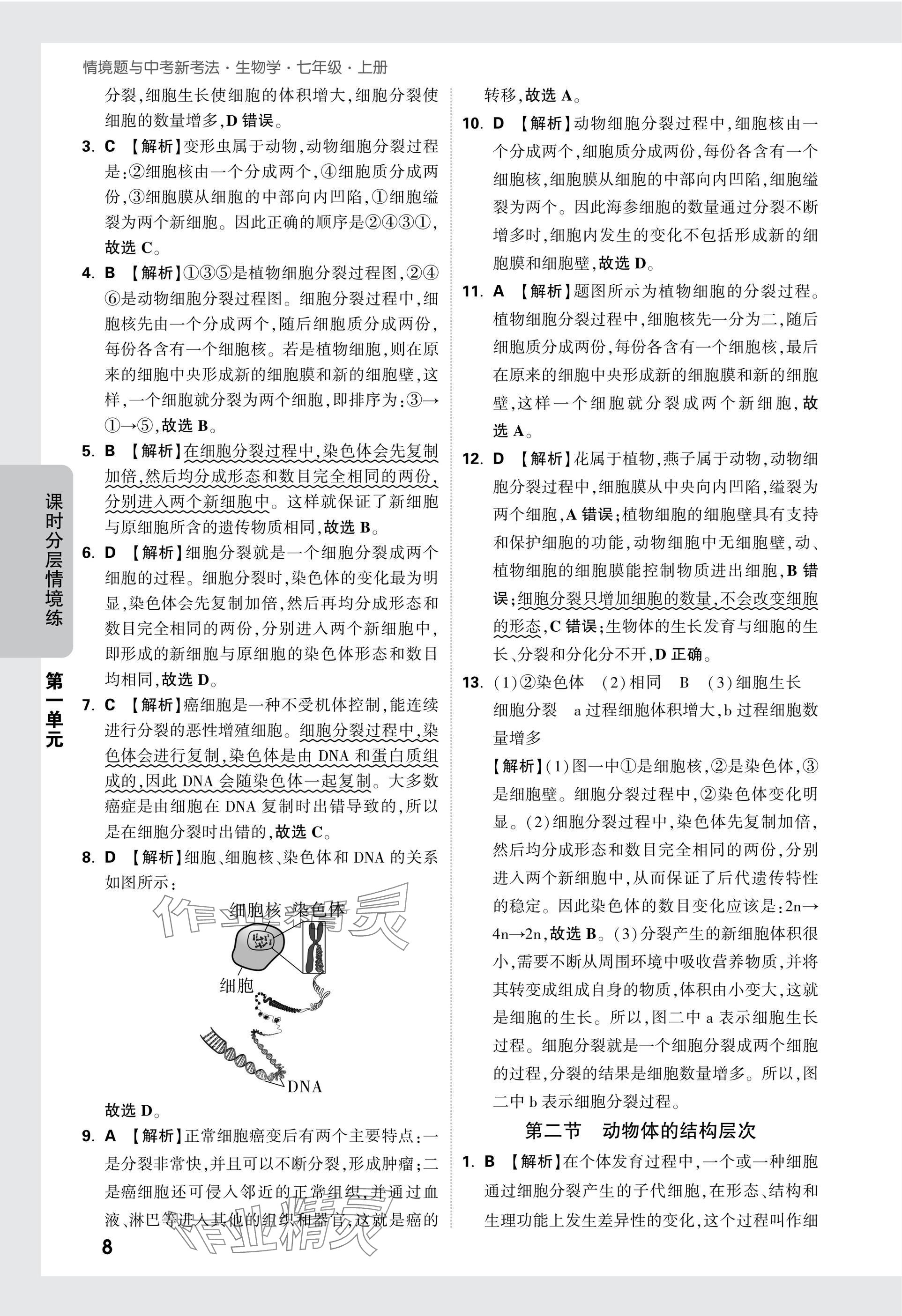 2025版萬(wàn)唯中考情境題七年級(jí)生物上冊(cè)人教版 參考答案第8頁(yè)