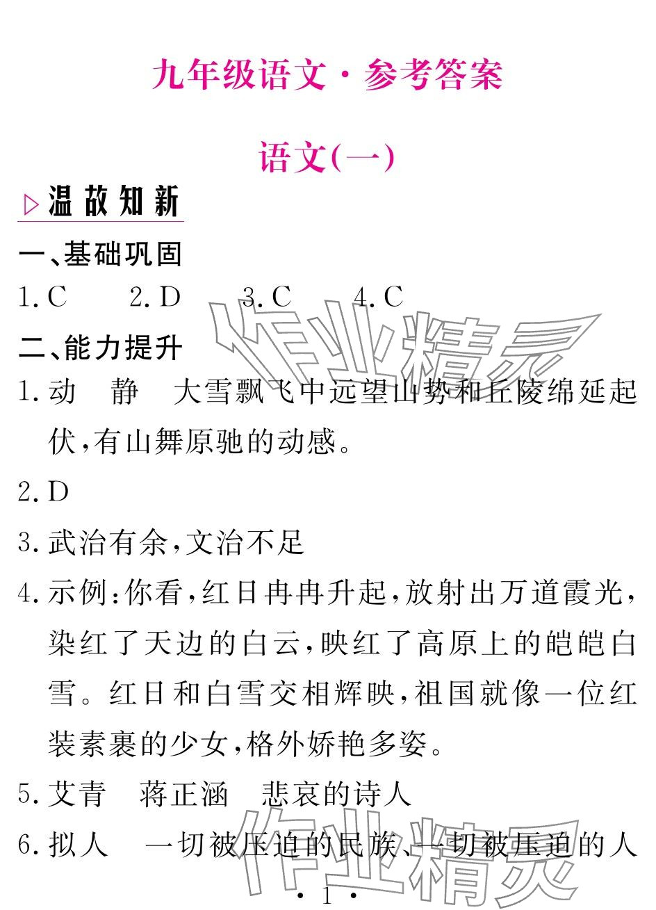 2024年天舟文化精彩寒假團(tuán)結(jié)出版社九年級(jí)語(yǔ)文 參考答案第1頁(yè)