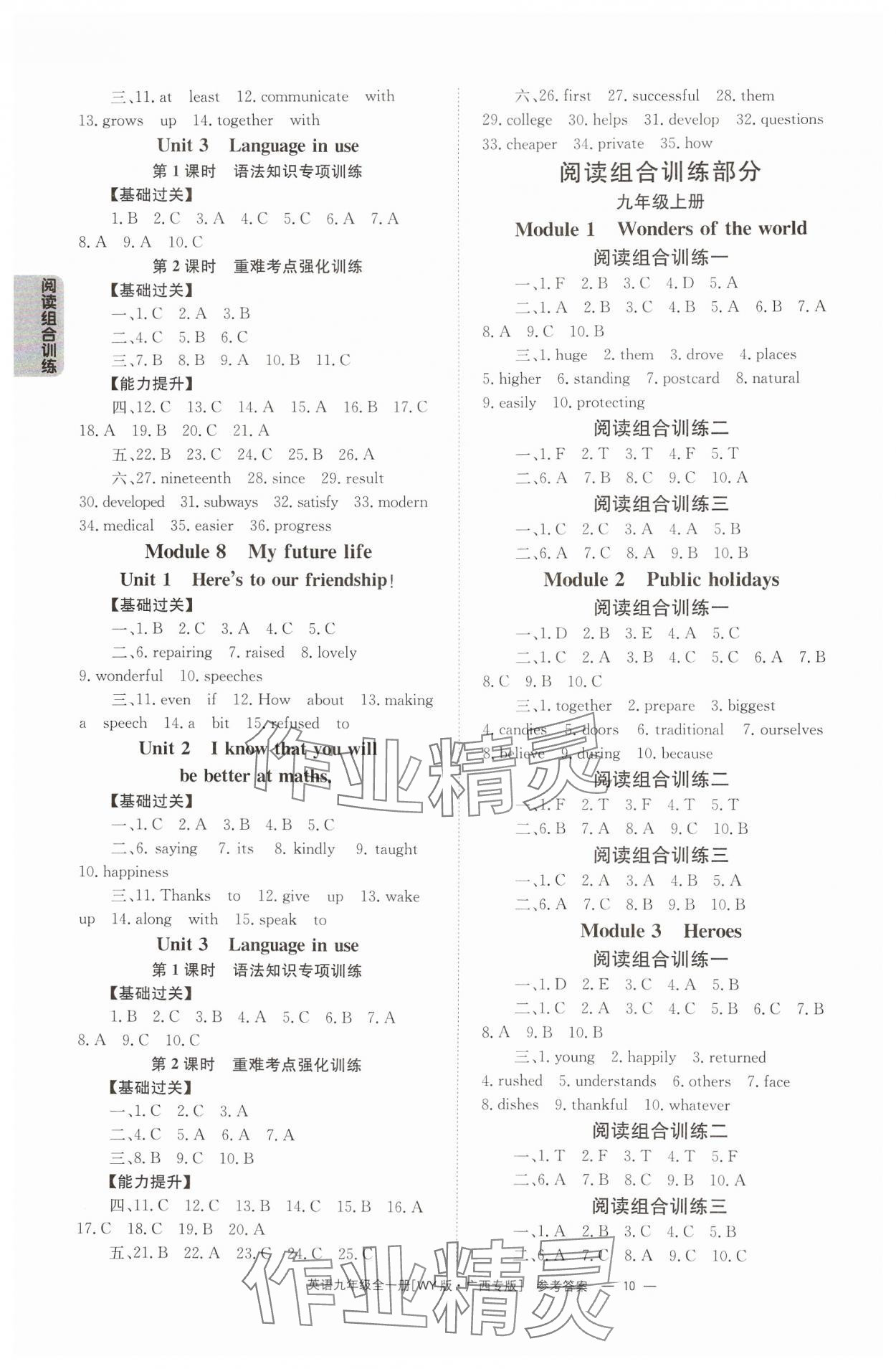 2024年全效學(xué)習(xí)同步學(xué)練測九年級英語全一冊外研版廣西專版 第10頁