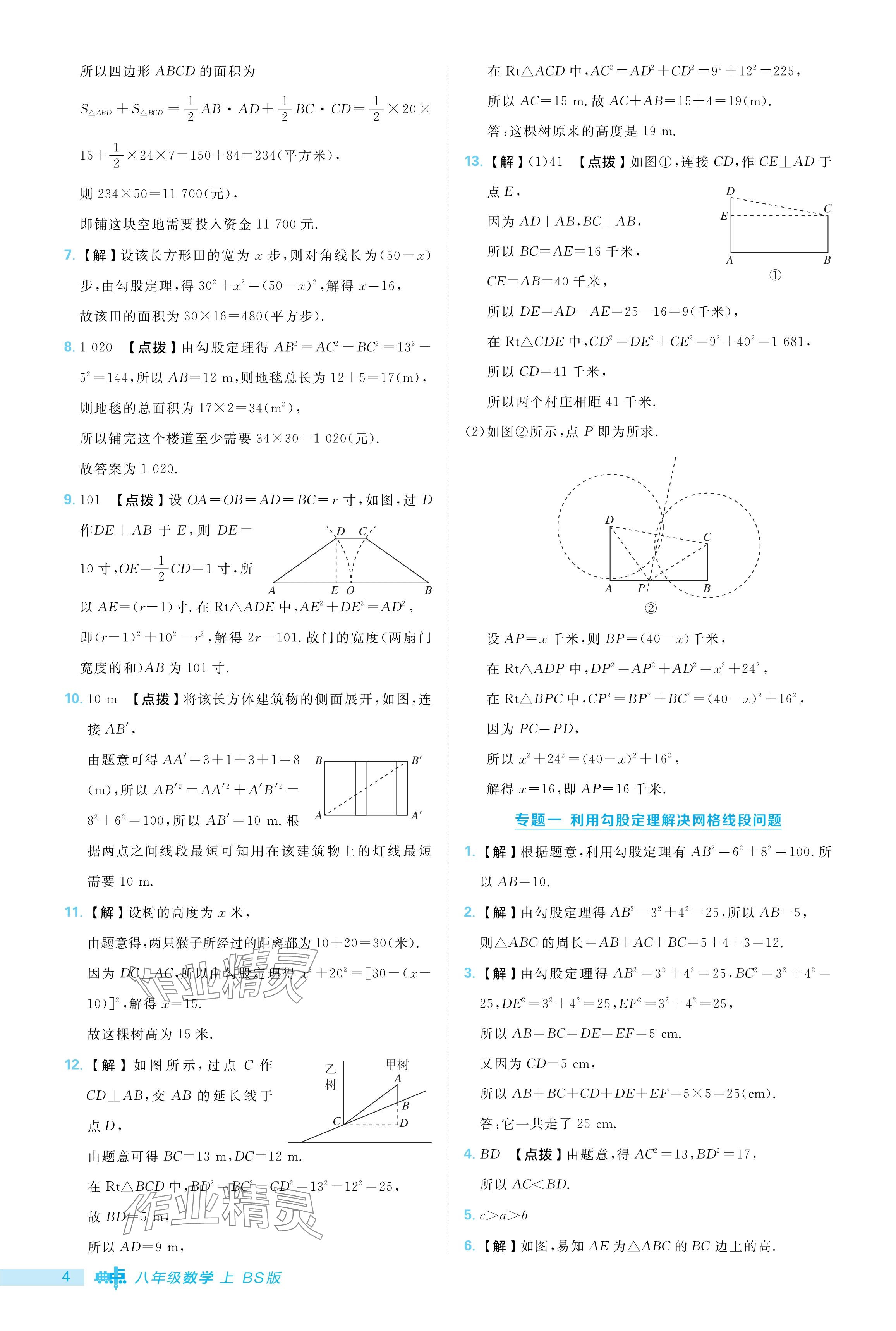 2024年綜合應(yīng)用創(chuàng)新題典中點(diǎn)八年級(jí)數(shù)學(xué)上冊(cè)北師大版 參考答案第4頁(yè)