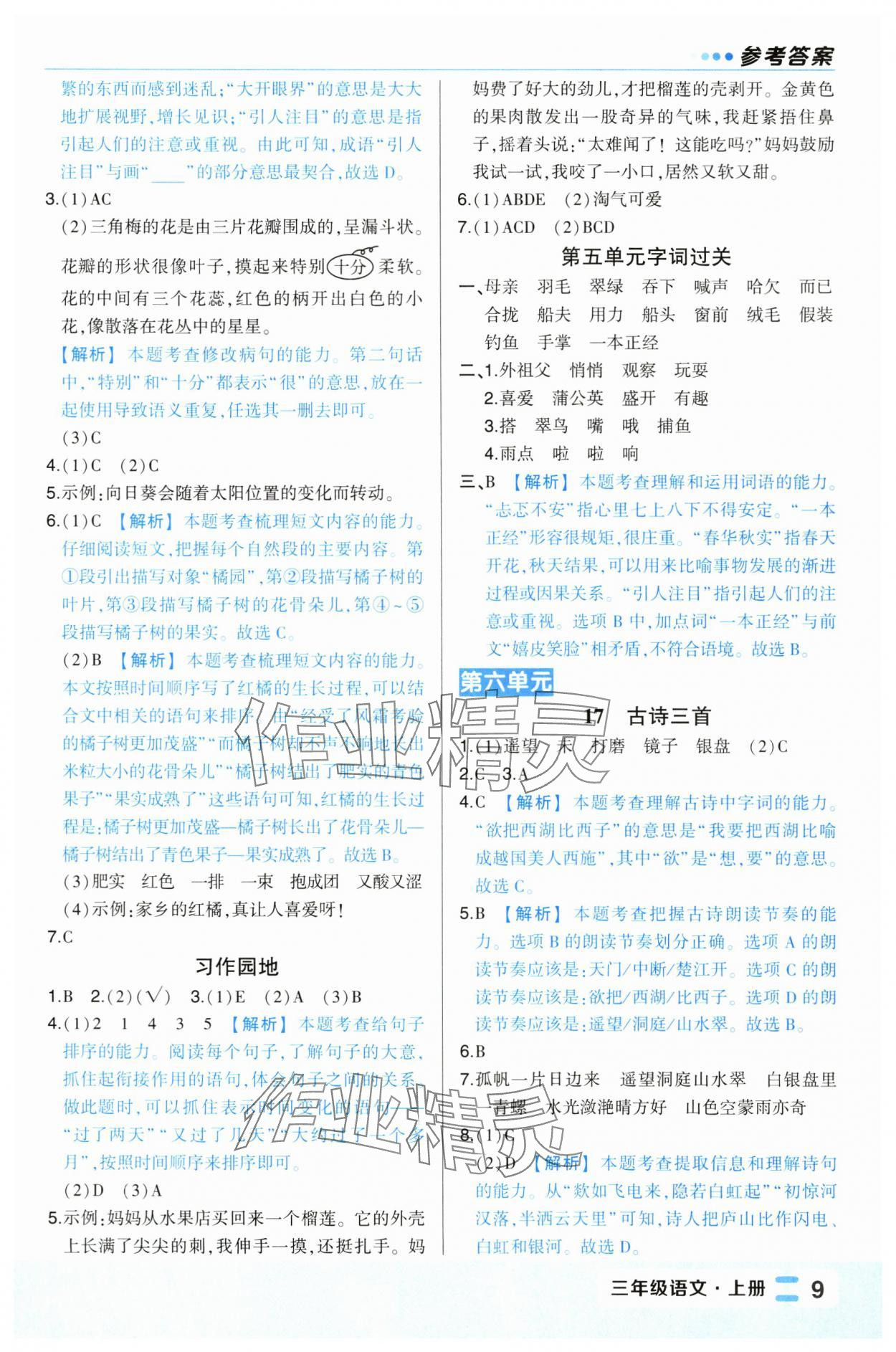 2024年黃岡狀元成才路狀元作業(yè)本三年級語文上冊人教版福建專版 第9頁