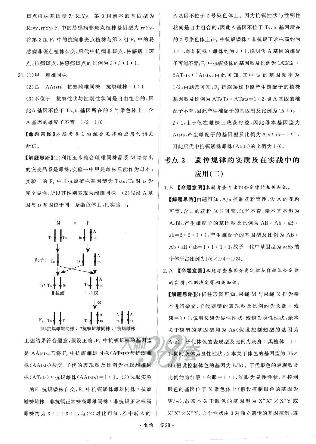 2024年天利38套對接高考單元專題訓(xùn)練高中生物 第28頁