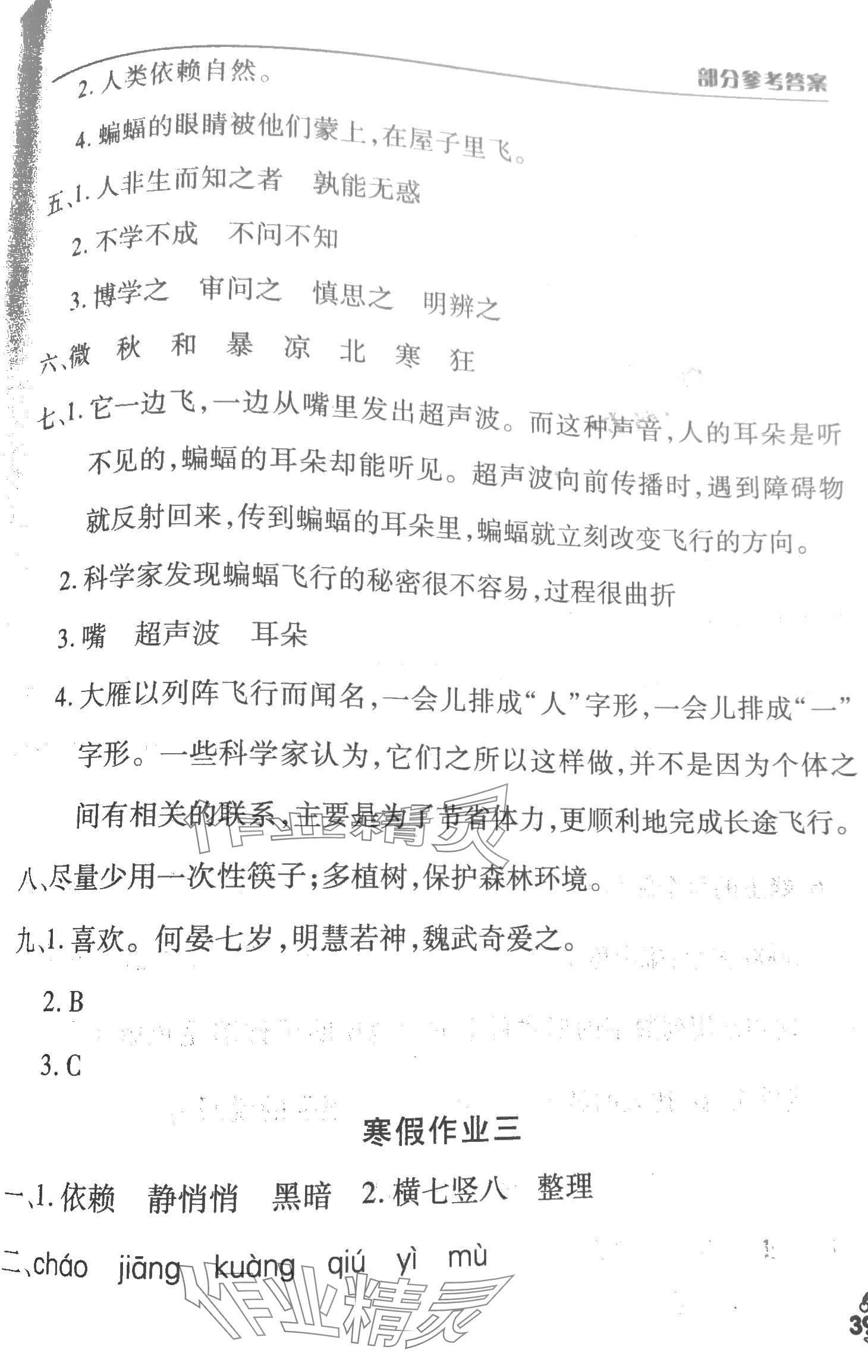 2024年寒假作业天天练文心出版社四年级语文 第2页
