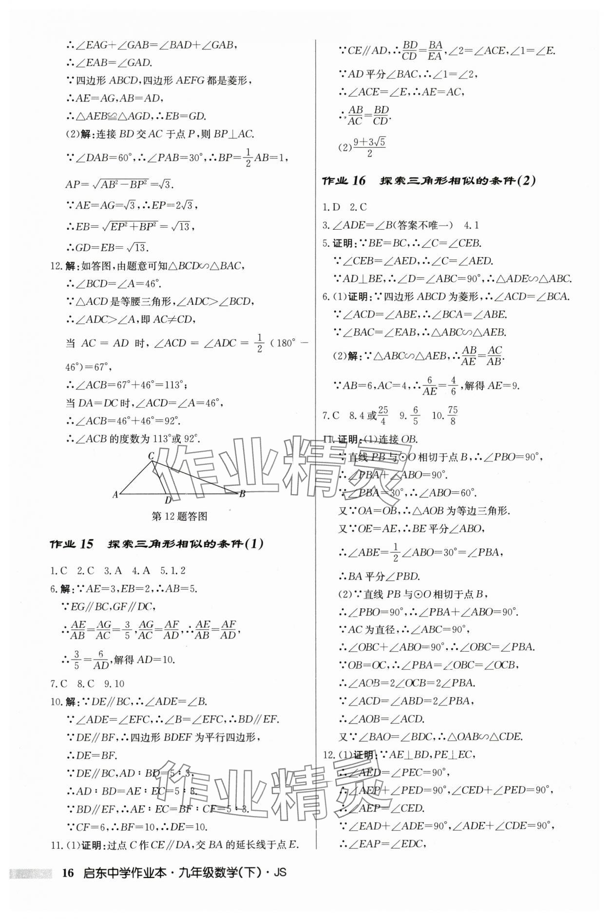 2024年启东中学作业本九年级数学下册苏科版 第16页