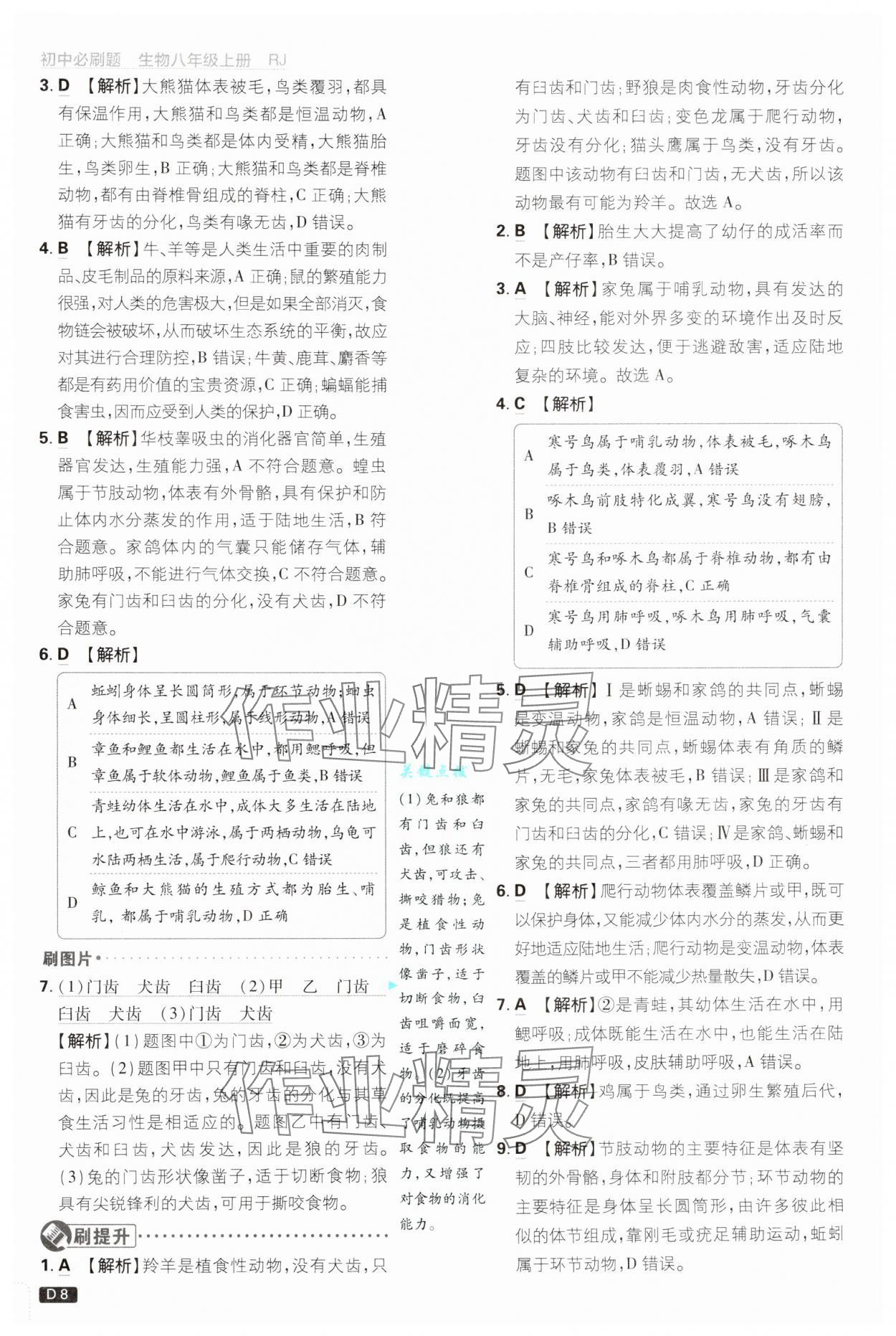 2024年初中必刷题八年级生物上册人教版 第8页