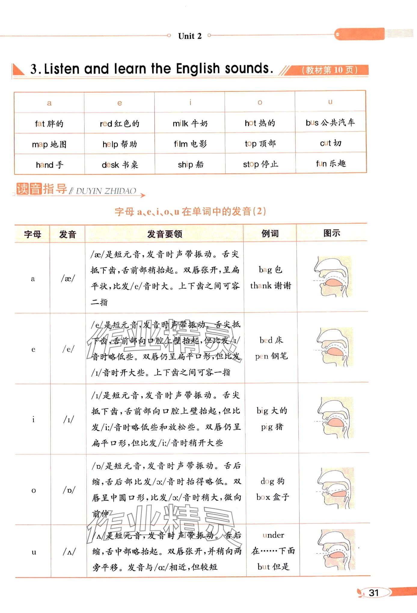 2024年教材課本六年級英語下冊閩教版 第31頁