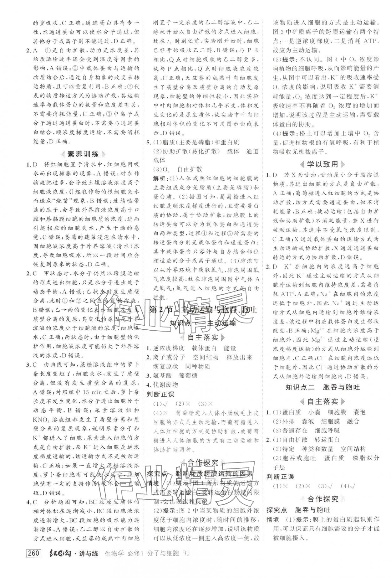 2024年红对勾讲与练高中生物必修1人教版 第14页