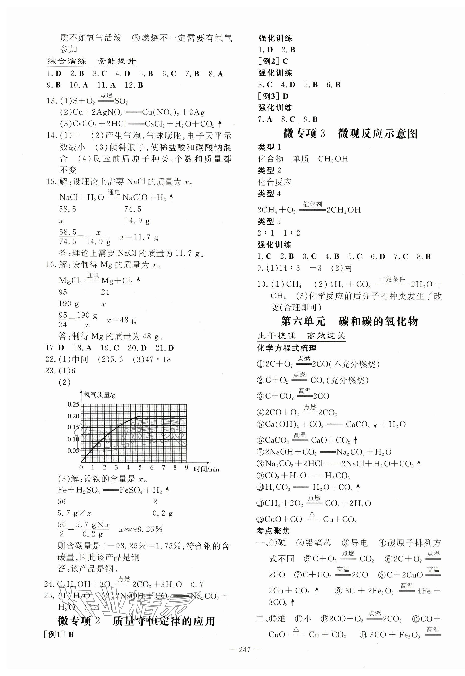 2024年中考总复习导与练化学人教版四川专版 第5页