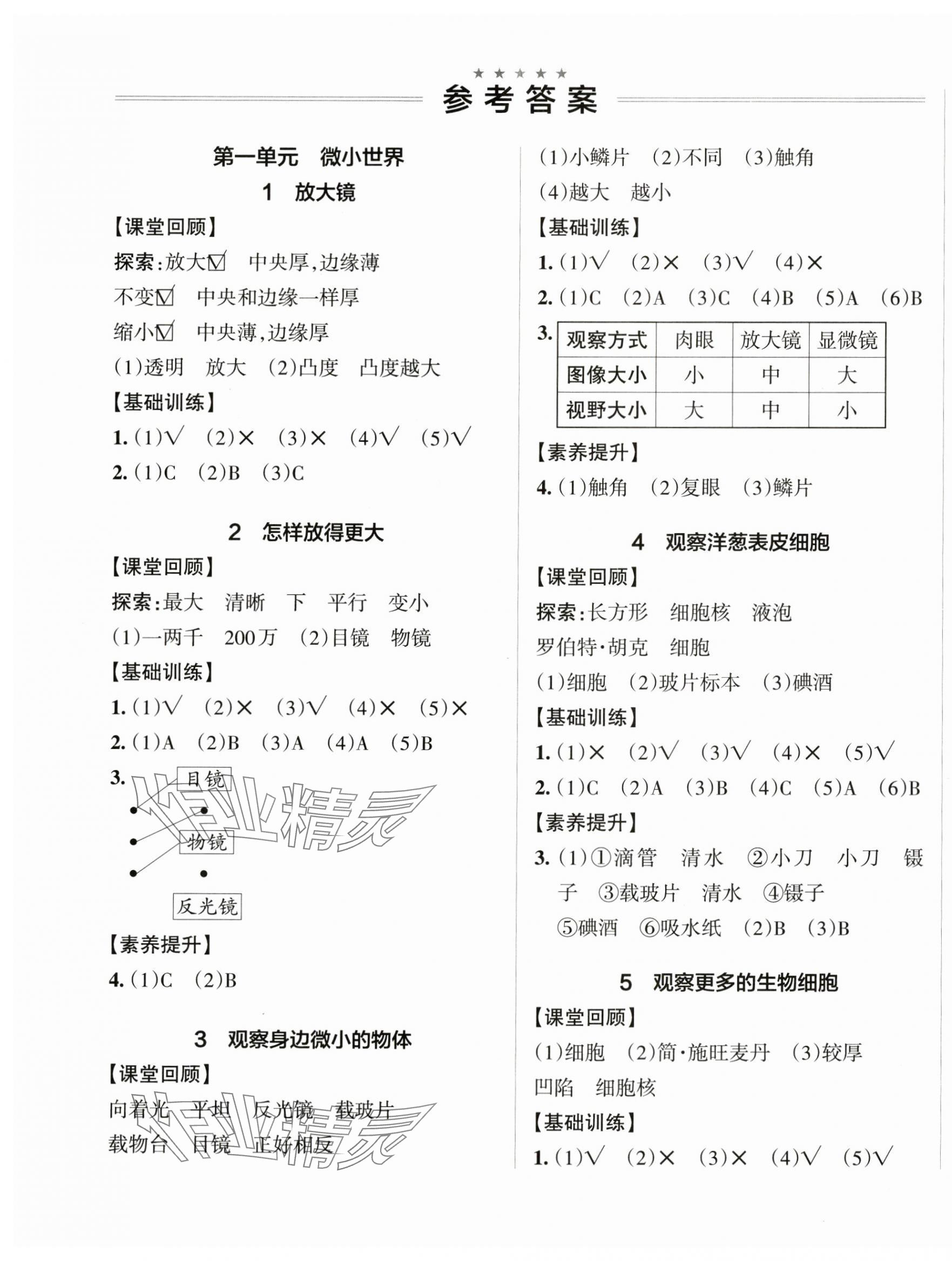 2024年小學(xué)學(xué)霸作業(yè)本六年級(jí)科學(xué)上冊(cè)教科版 參考答案第1頁(yè)