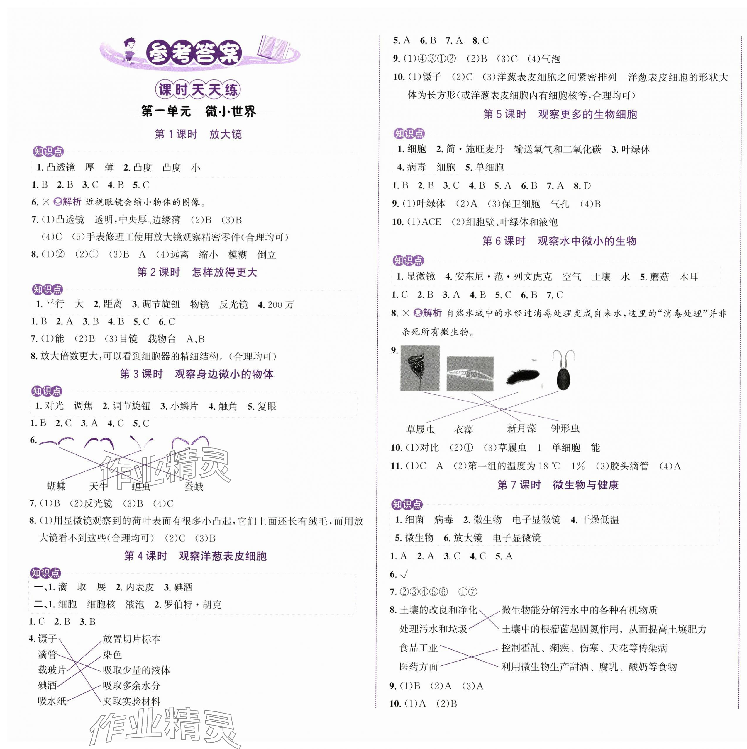 2024年奔跑吧少年六年级科学上册教科版 第1页