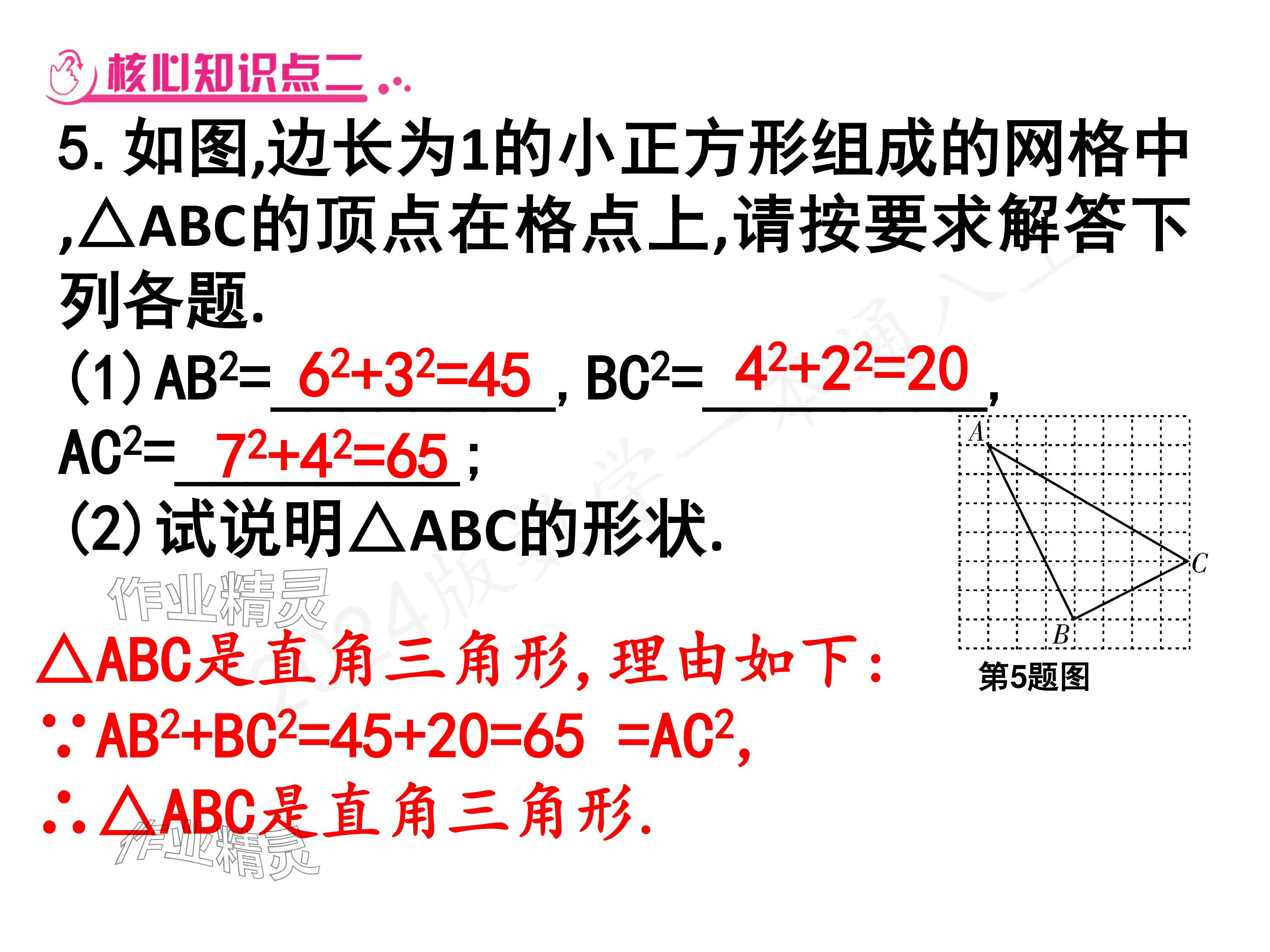 2024年一本通武汉出版社八年级数学上册北师大版核心板 参考答案第19页