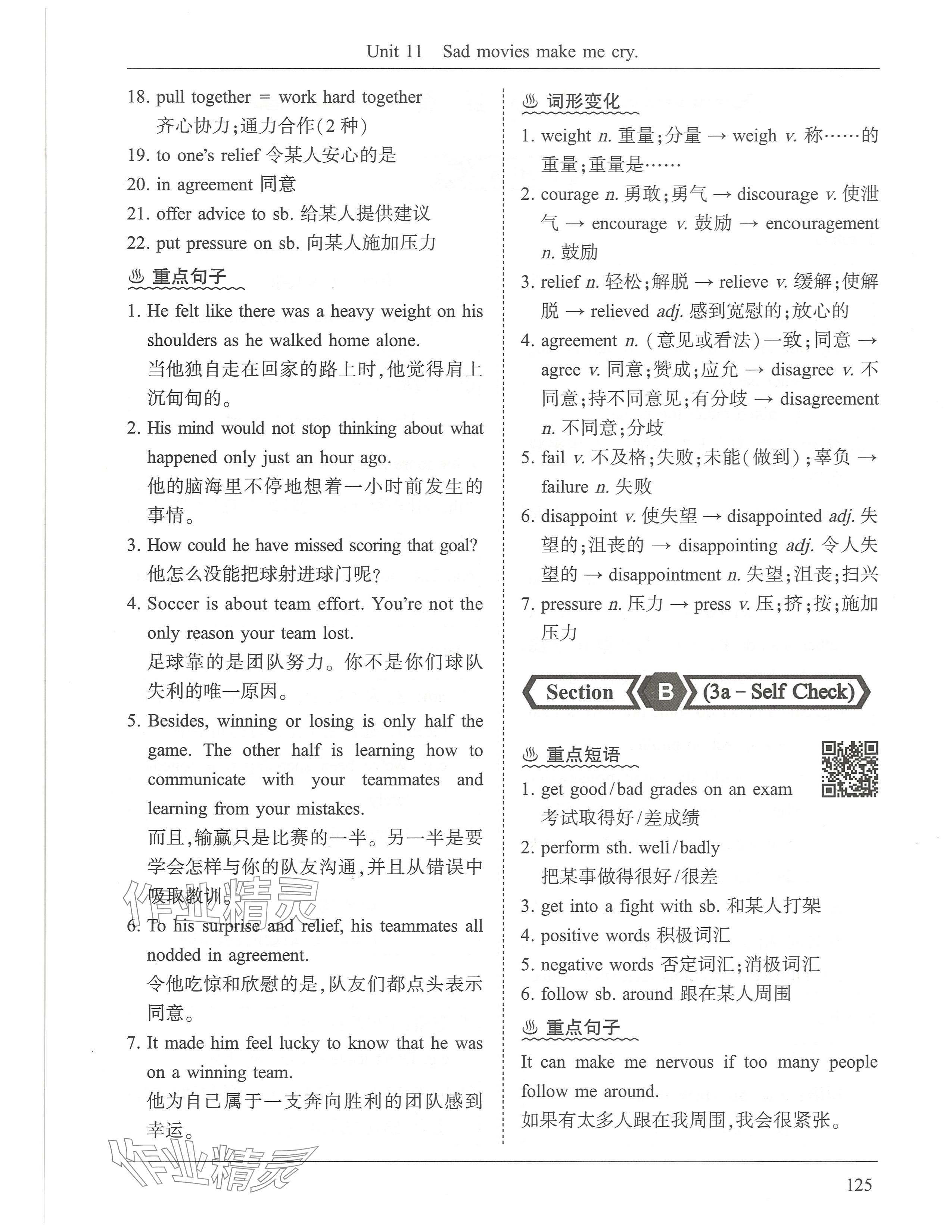 2024年新视界单元复习九年级英语下册人教版 参考答案第5页