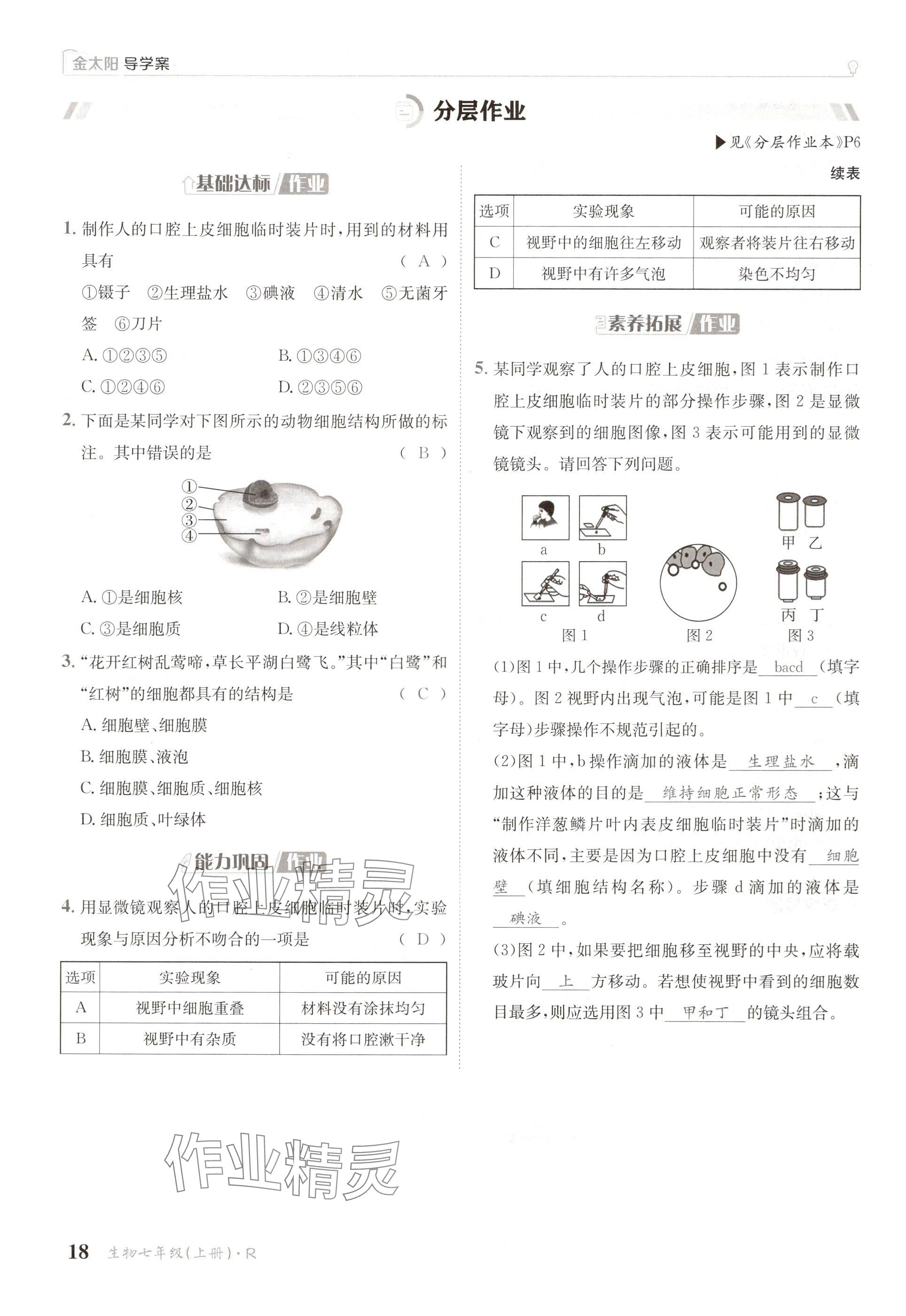 2024年金太阳导学案七年级生物上册人教版 参考答案第18页