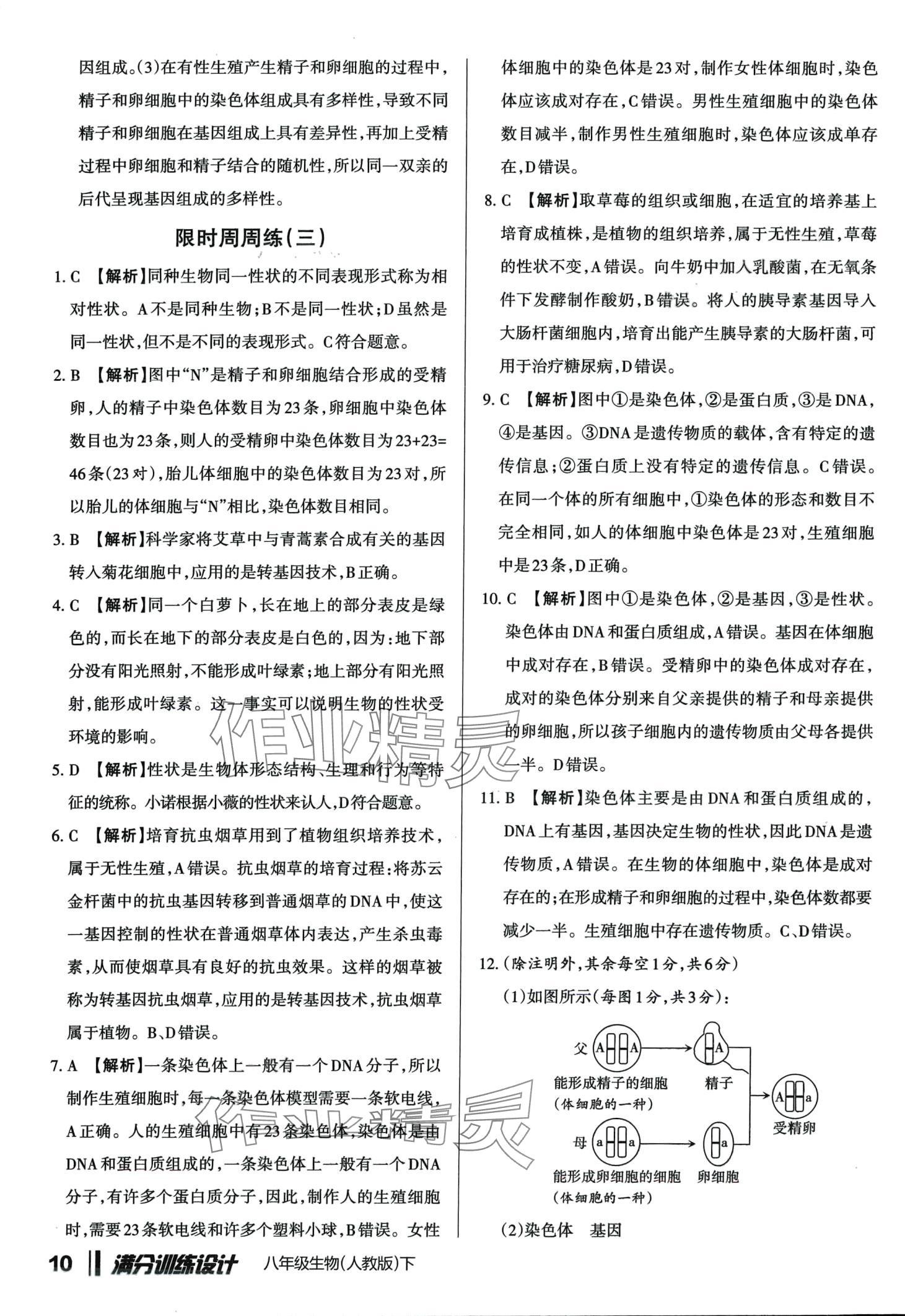 2024年滿分訓練設計八年級生物下冊人教版 第9頁