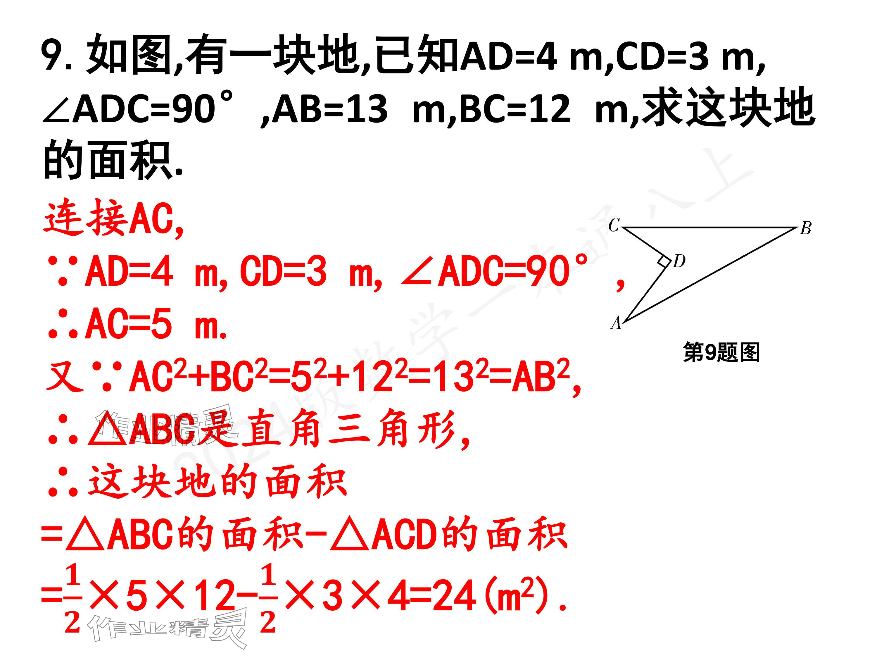 2024年一本通武汉出版社八年级数学上册北师大版核心板 参考答案第23页