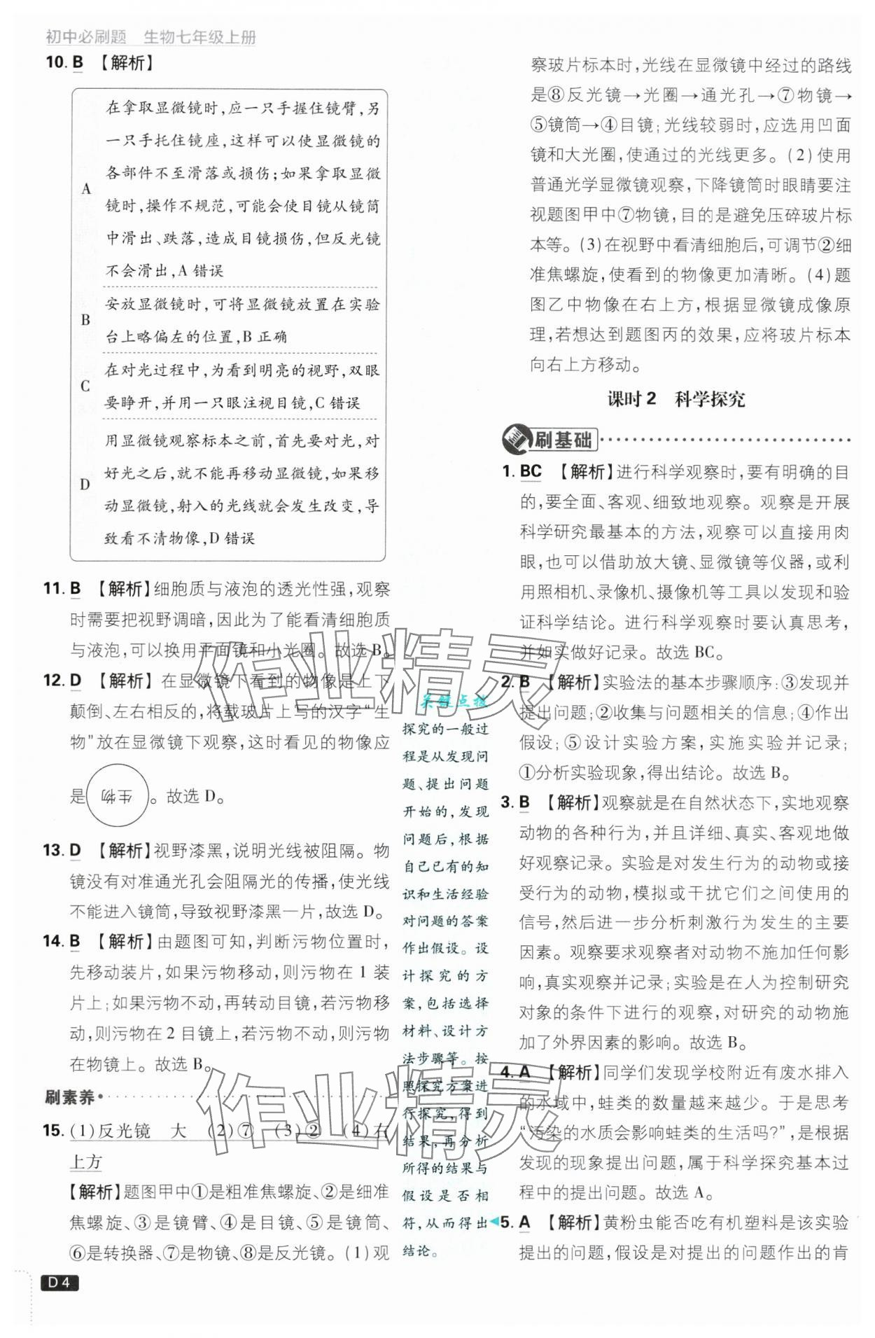 2024年初中必刷題七年級生物上冊蘇教版 第4頁