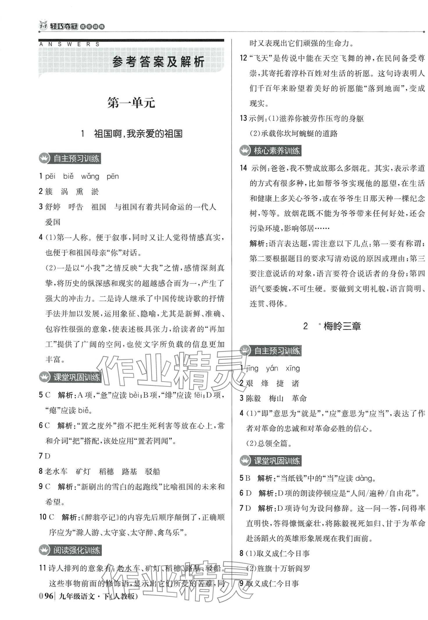 2024年1加1轻巧夺冠优化训练九年级语文下册人教版 第1页