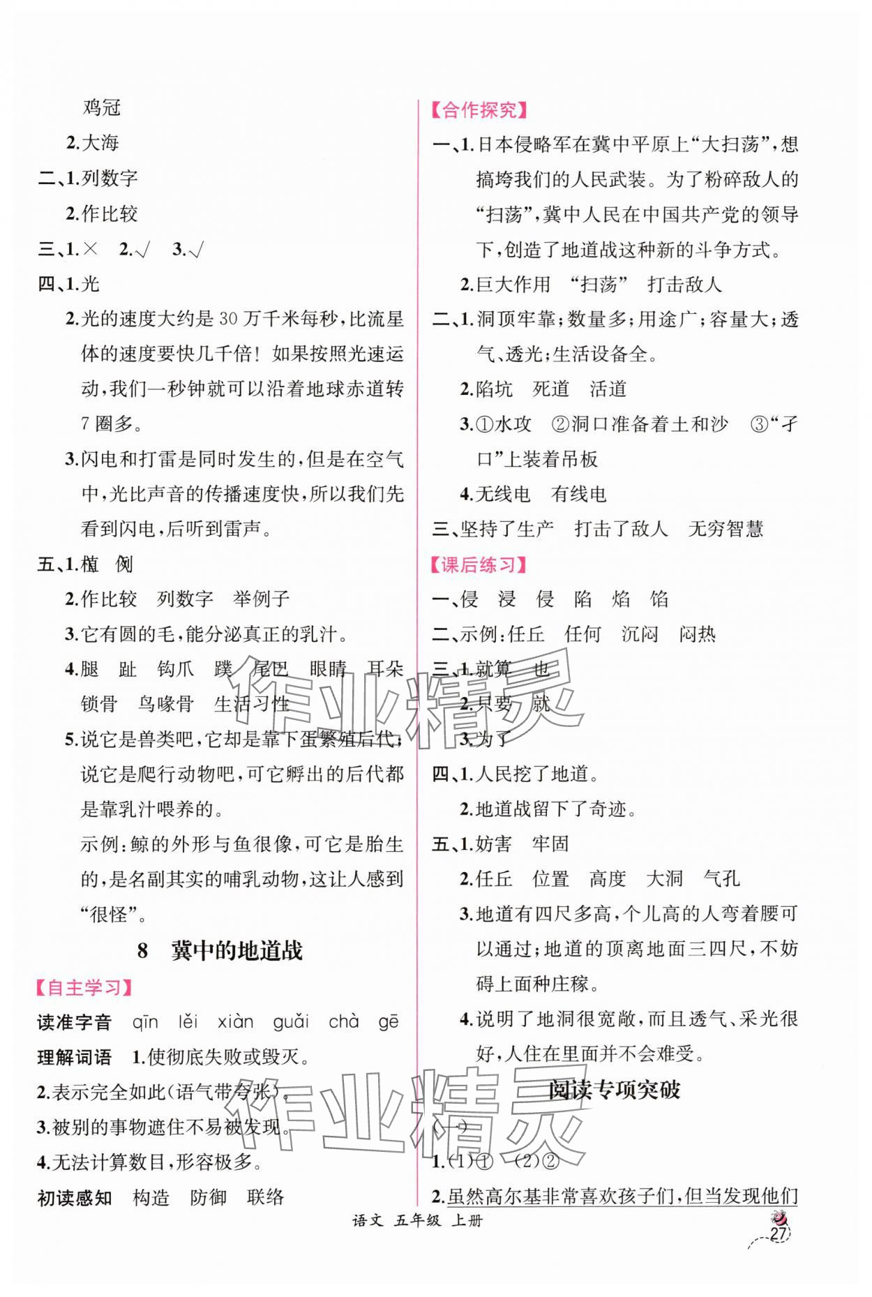 2024年同步導(dǎo)學(xué)案課時練五年級語文上冊人教版 第7頁