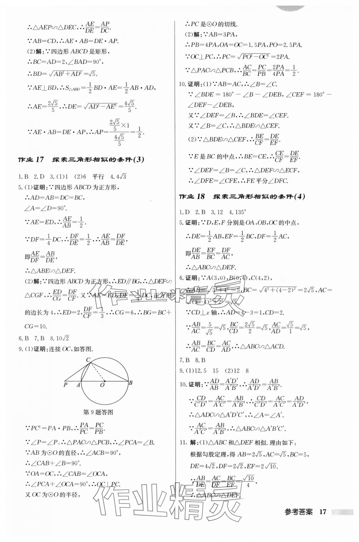 2024年启东中学作业本九年级数学下册苏科版 第17页