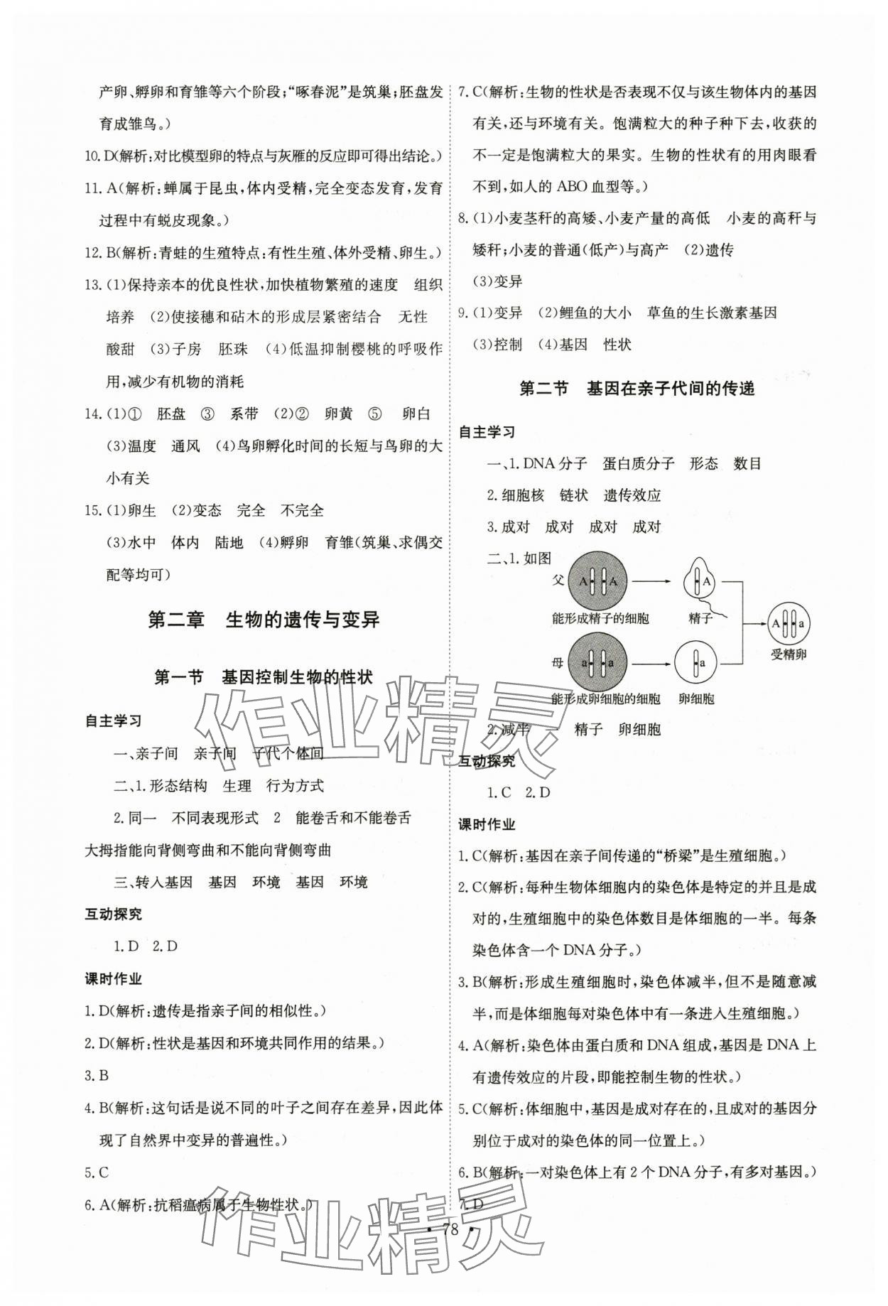 2024年長(zhǎng)江全能學(xué)案同步練習(xí)冊(cè)八年級(jí)生物下冊(cè)人教版 第4頁(yè)