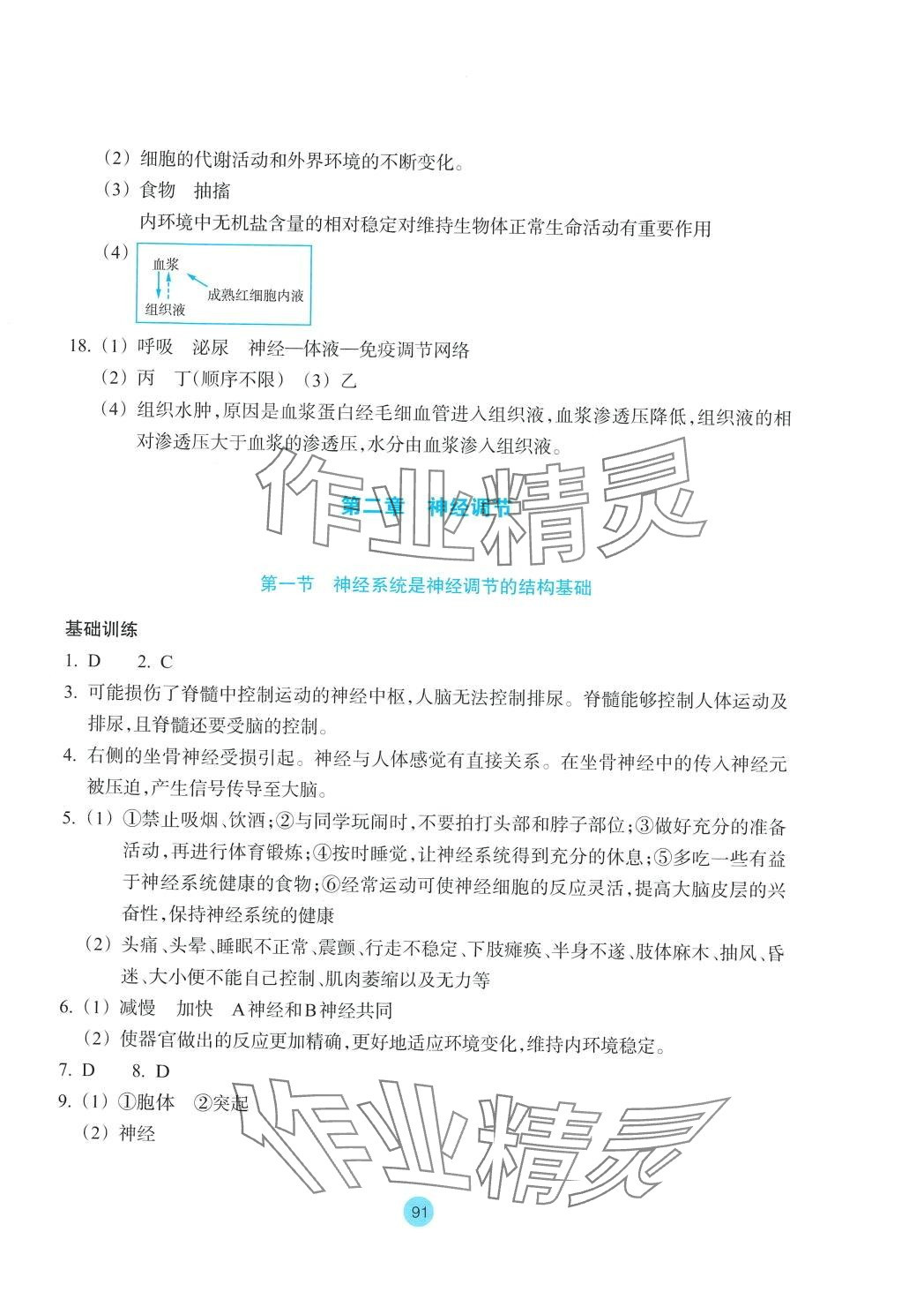 2024年作业本浙江教育出版社高中生物选择性必修1浙教版 第3页