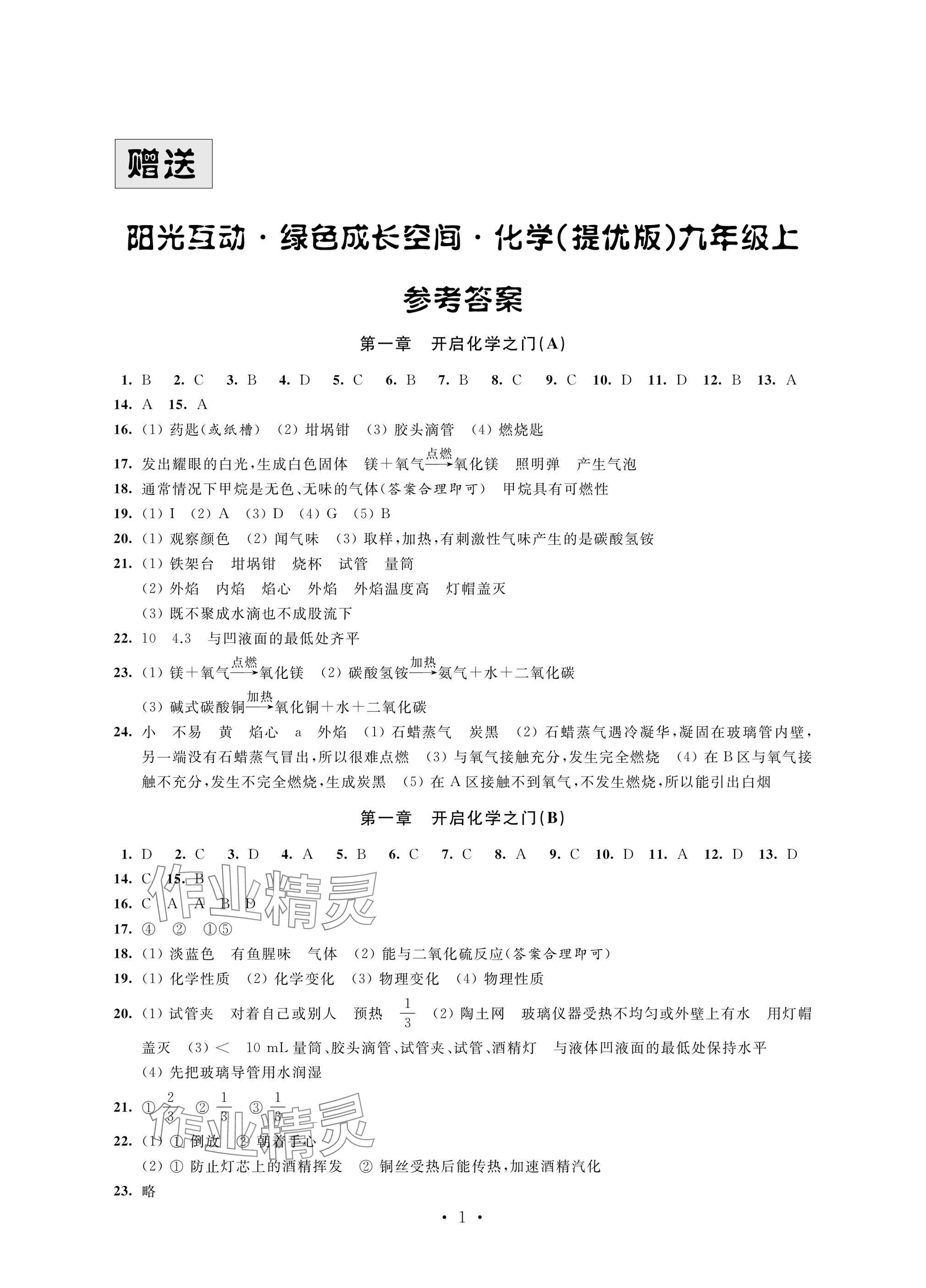 2024年陽光互動綠色成長空間九年級化學(xué)上冊提優(yōu)版 參考答案第1頁