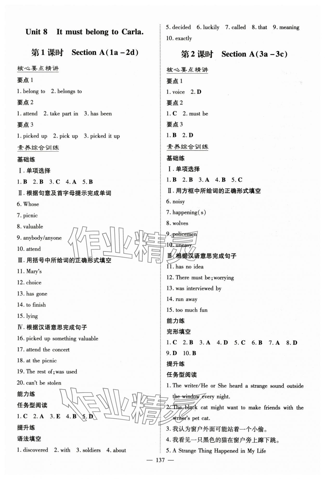 2024年初中同步學(xué)習(xí)導(dǎo)與練導(dǎo)學(xué)探究案九年級(jí)英語上冊(cè)人教版 第13頁