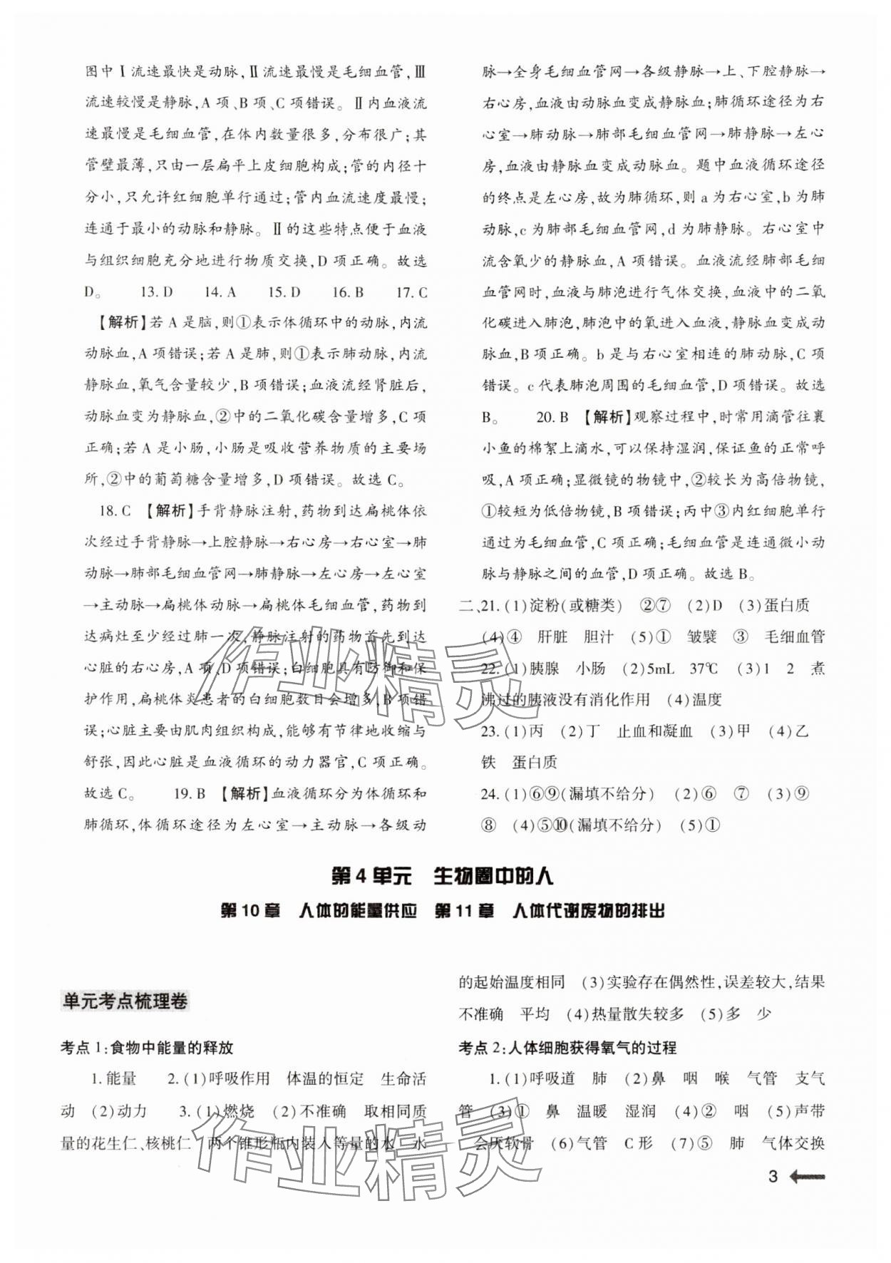 2024年節(jié)節(jié)高大象出版社七年級(jí)生物下冊(cè)北師大版 參考答案第3頁