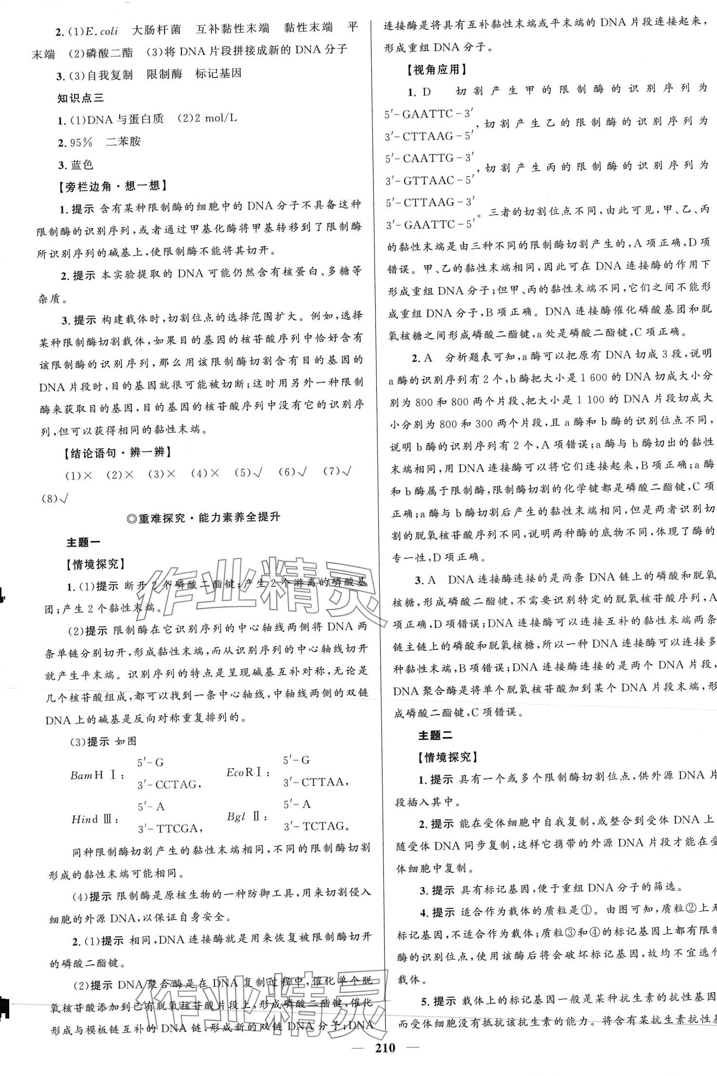 2024年高中同步学案优化设计高中生物选择性必修3人教版 第13页