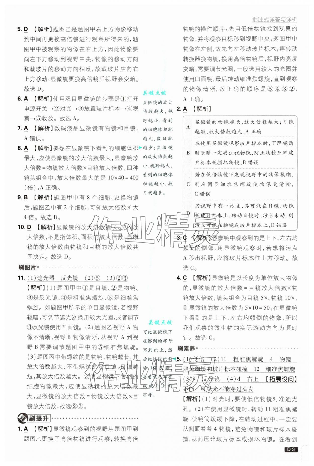 2024年初中必刷題七年級生物上冊人教版 第3頁