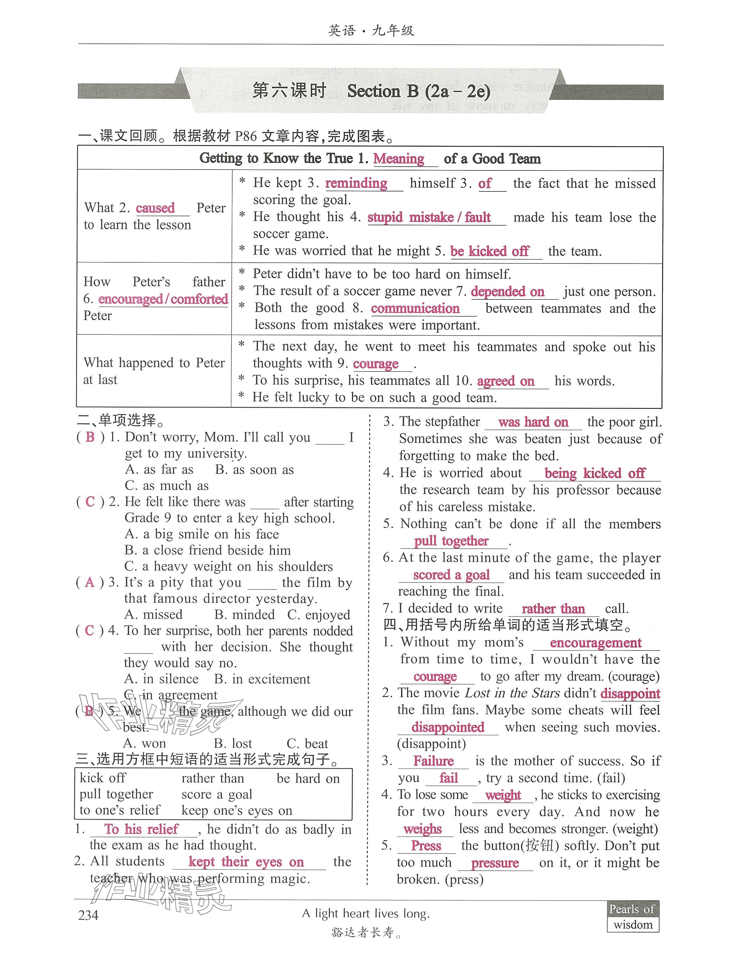 2024年新视界单元复习九年级英语下册人教版 参考答案第13页