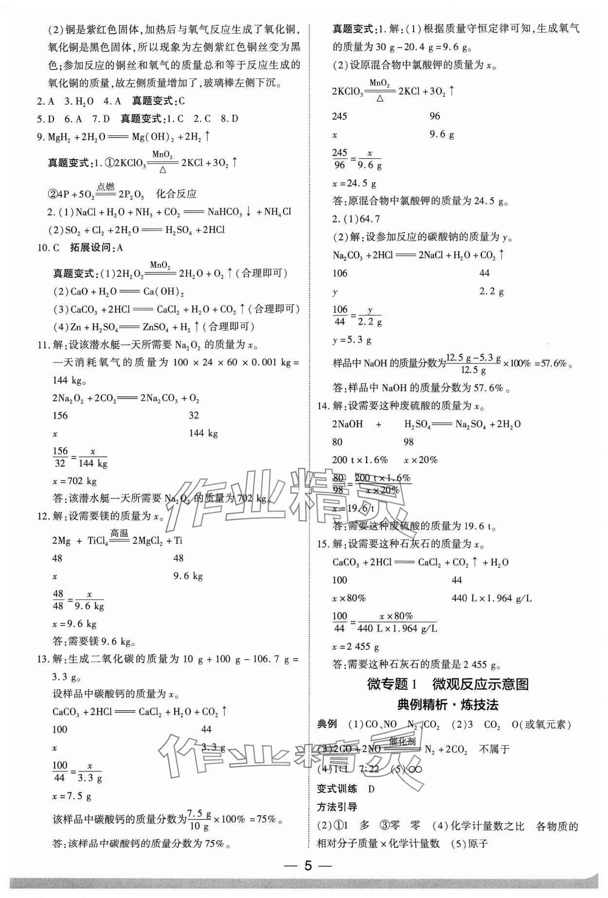 2024年鼎成中考精准提分化学河南专版 参考答案第5页