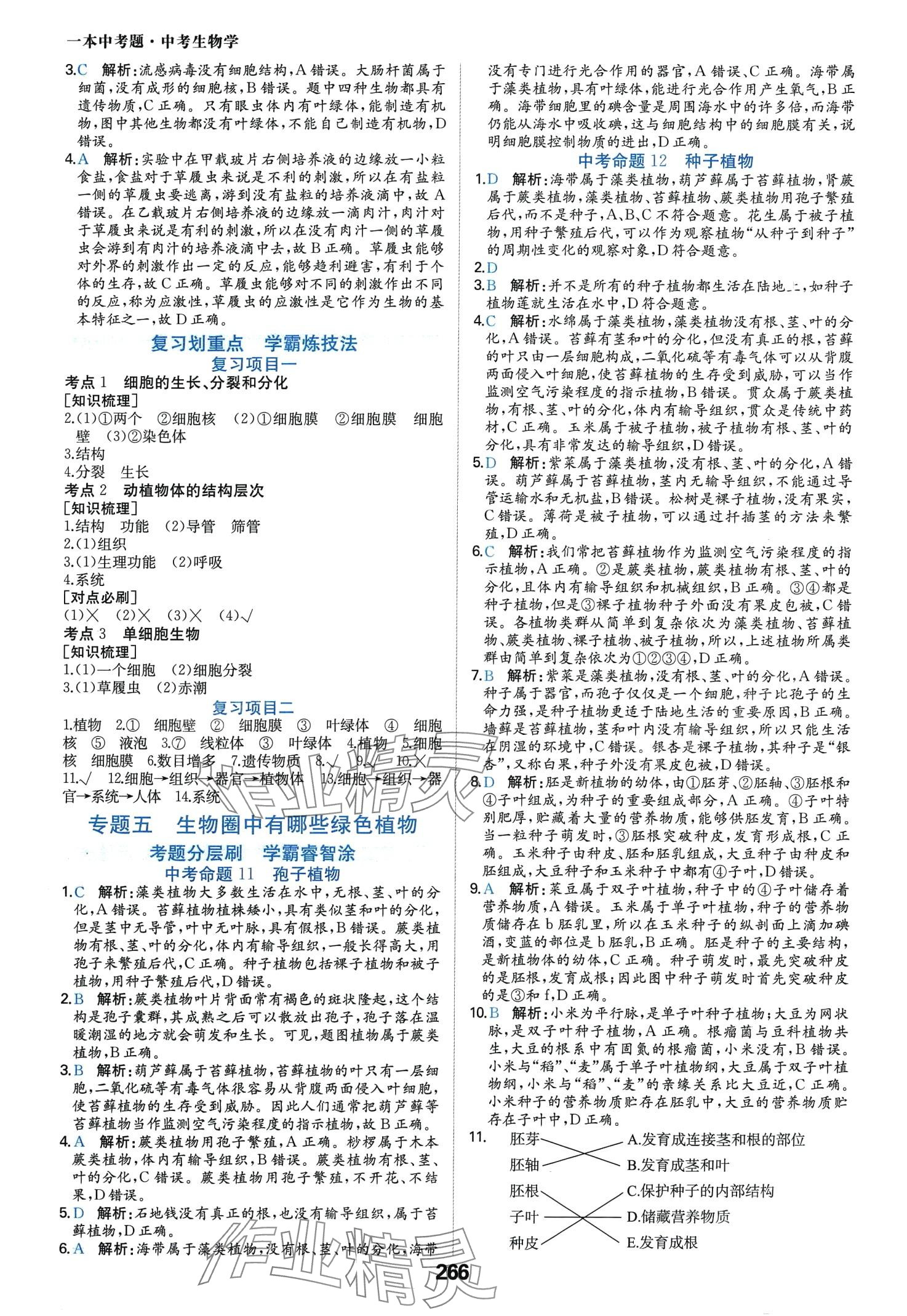 2024年一本中考题生物中考 第6页