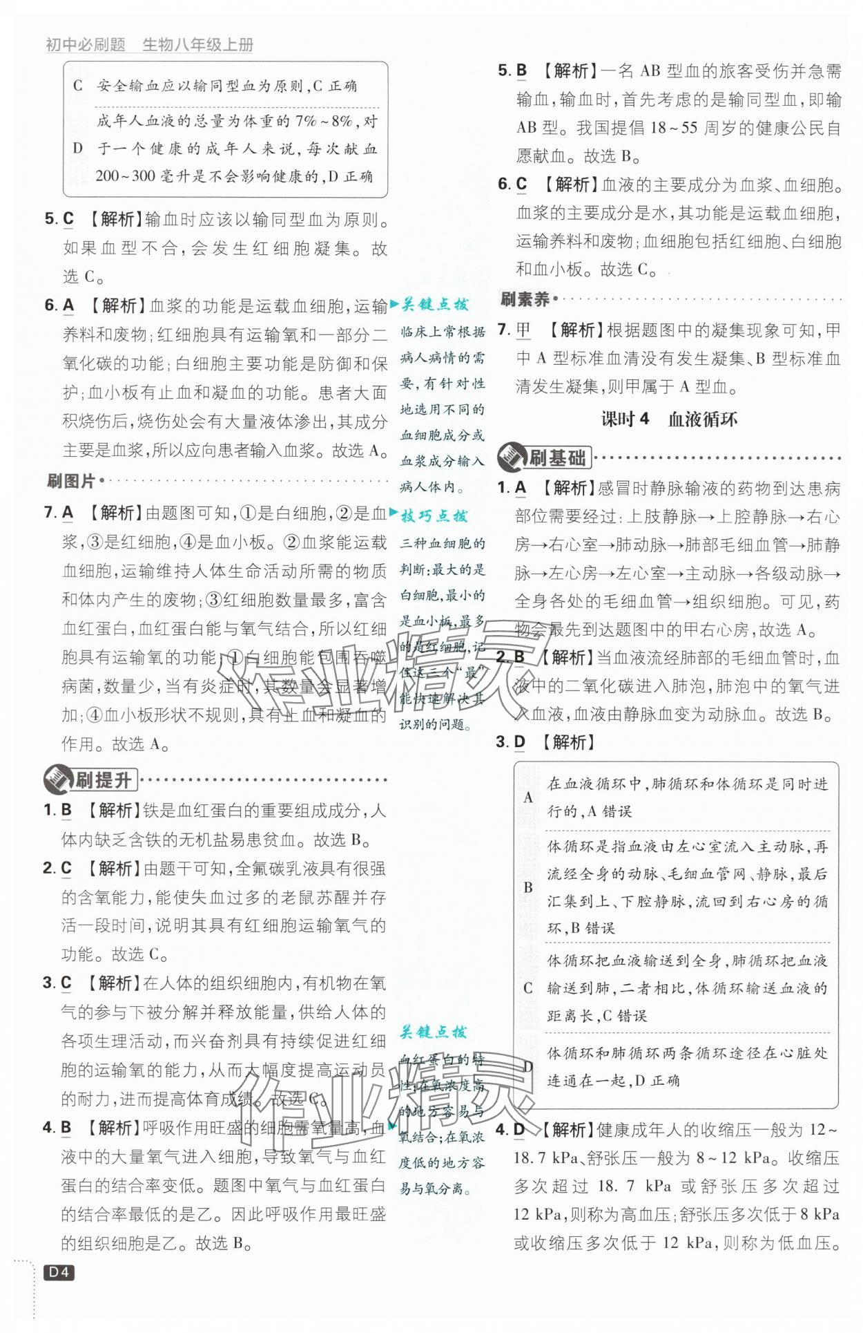 2024年初中必刷題八年級生物上冊蘇教版 第4頁