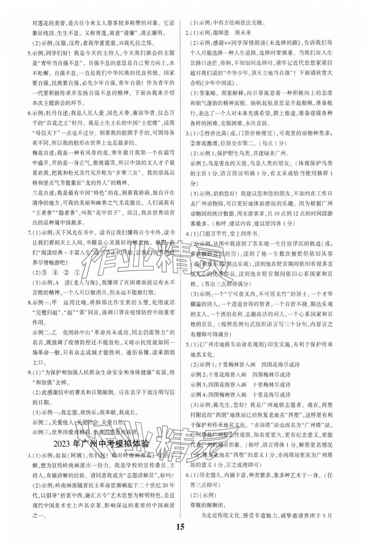2024年一本到位语文中考广州专版 第15页