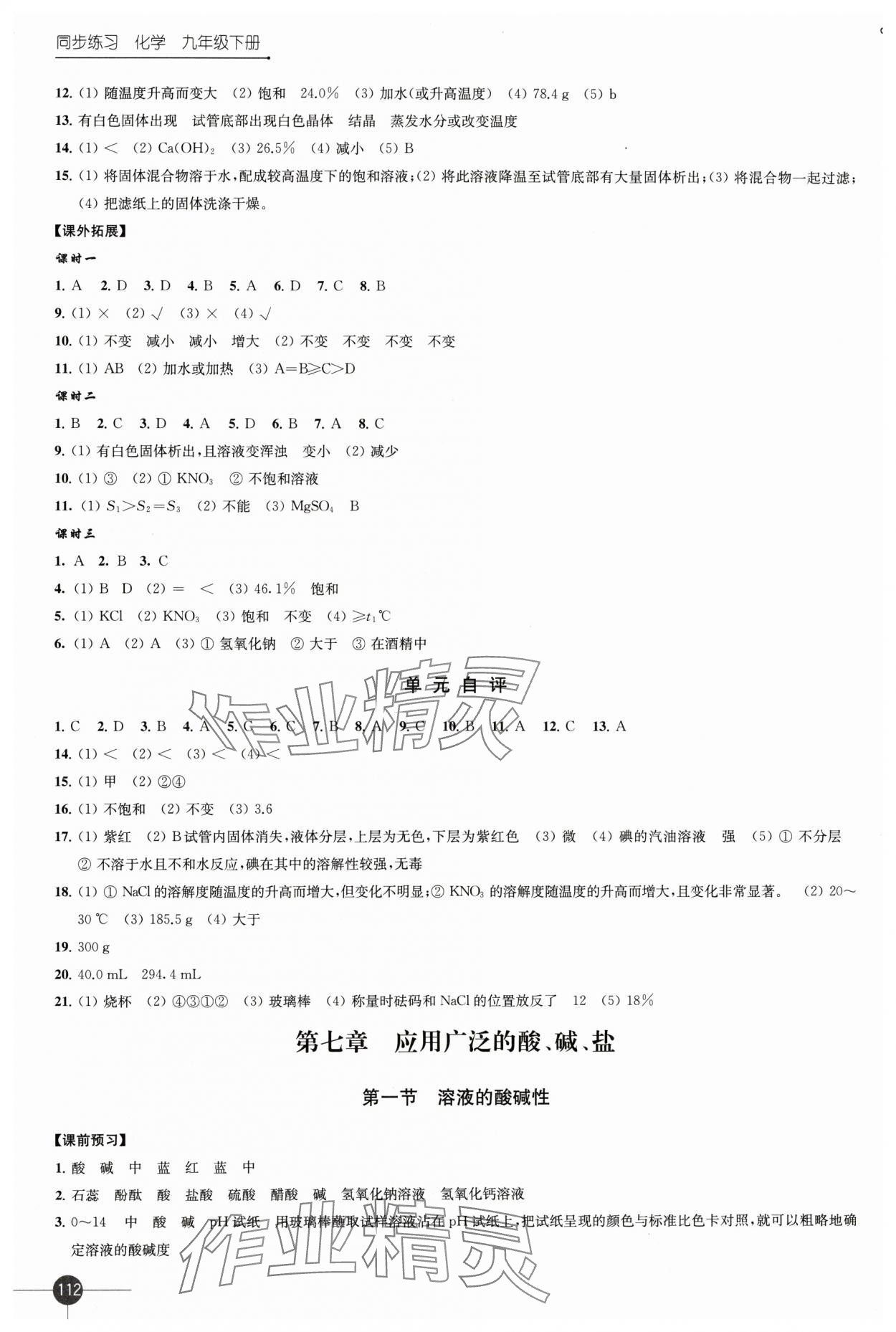 2024年同步练习江苏九年级化学下册沪教版 第4页