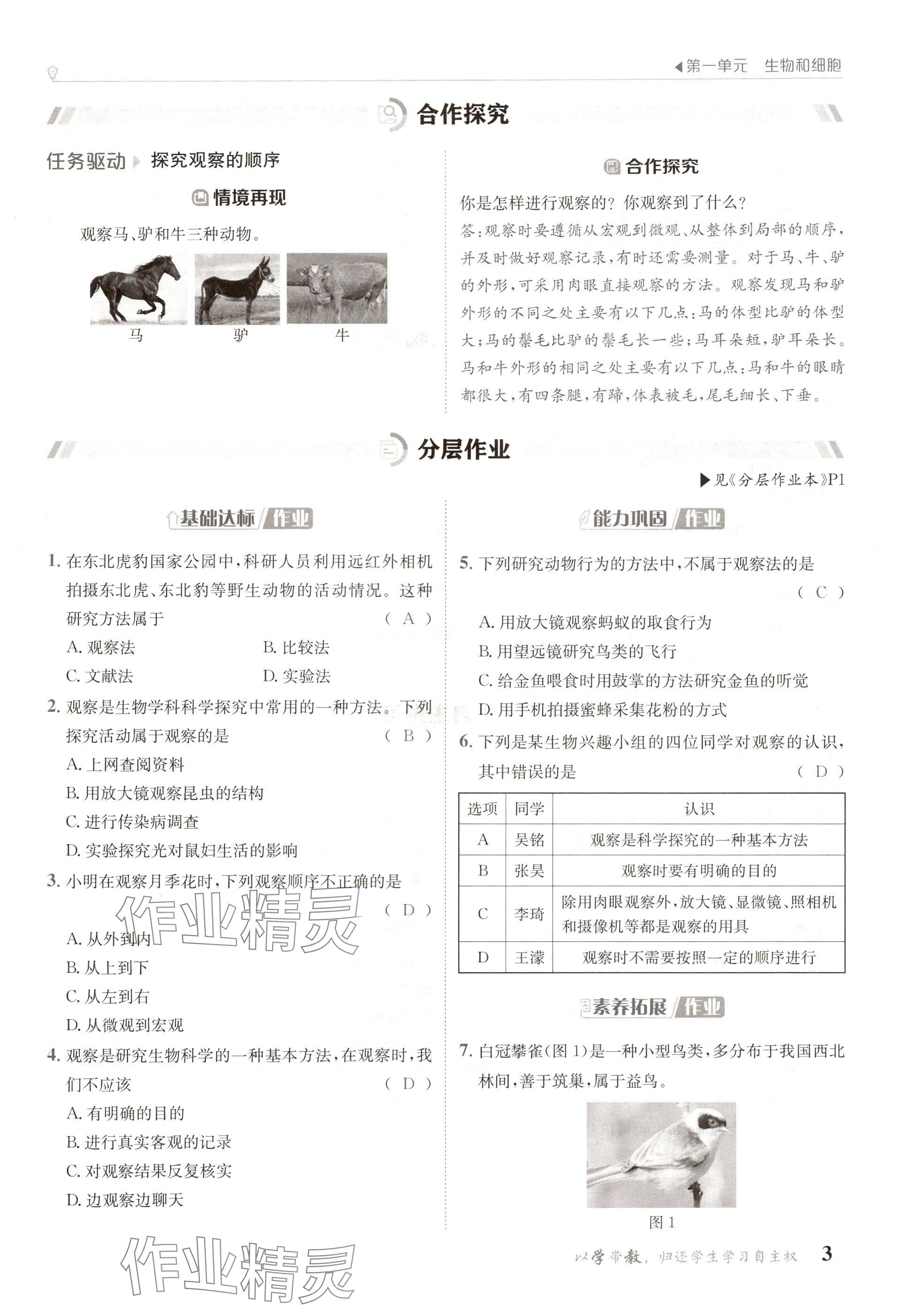 2024年金太阳导学案七年级生物上册人教版 参考答案第3页