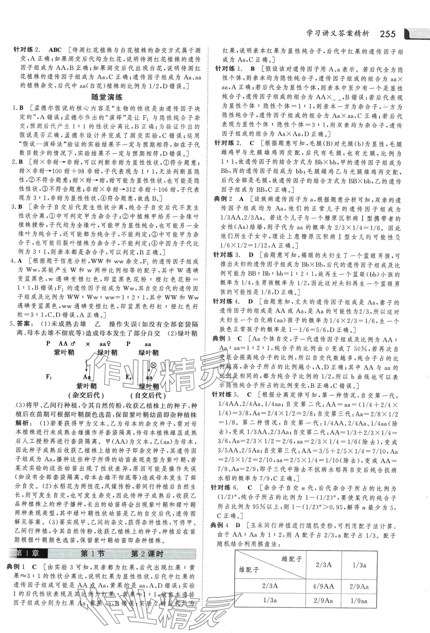 2024年金版新学案高中生物必修2人教版 第2页