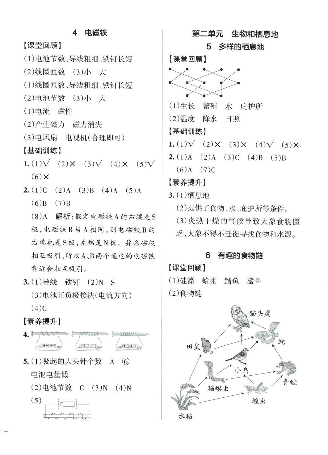 2024年小學(xué)學(xué)霸作業(yè)本六年級科學(xué)下冊蘇教版 第2頁