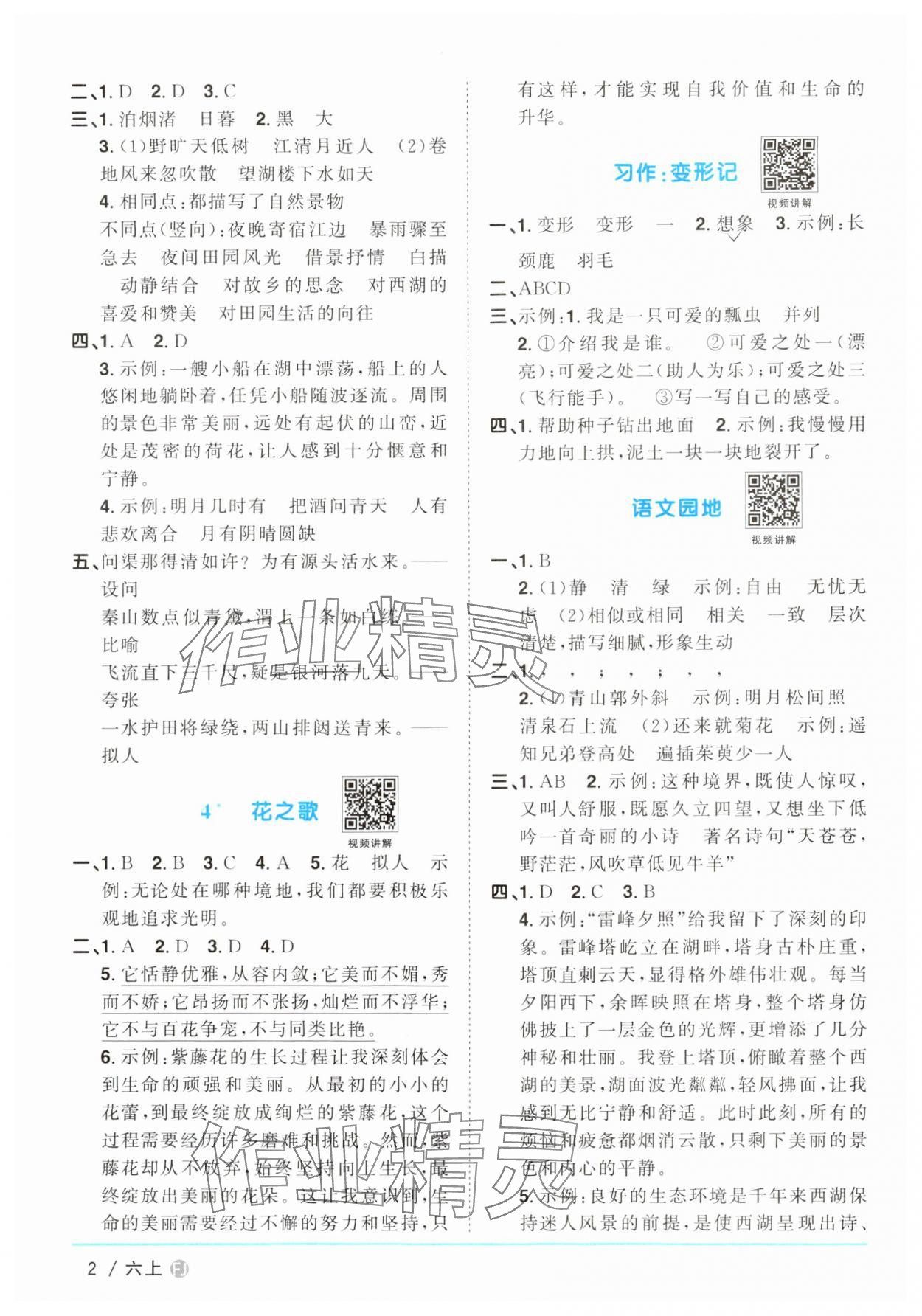 2024年陽光同學(xué)課時優(yōu)化作業(yè)六年級語文上冊人教版福建專版 參考答案第2頁