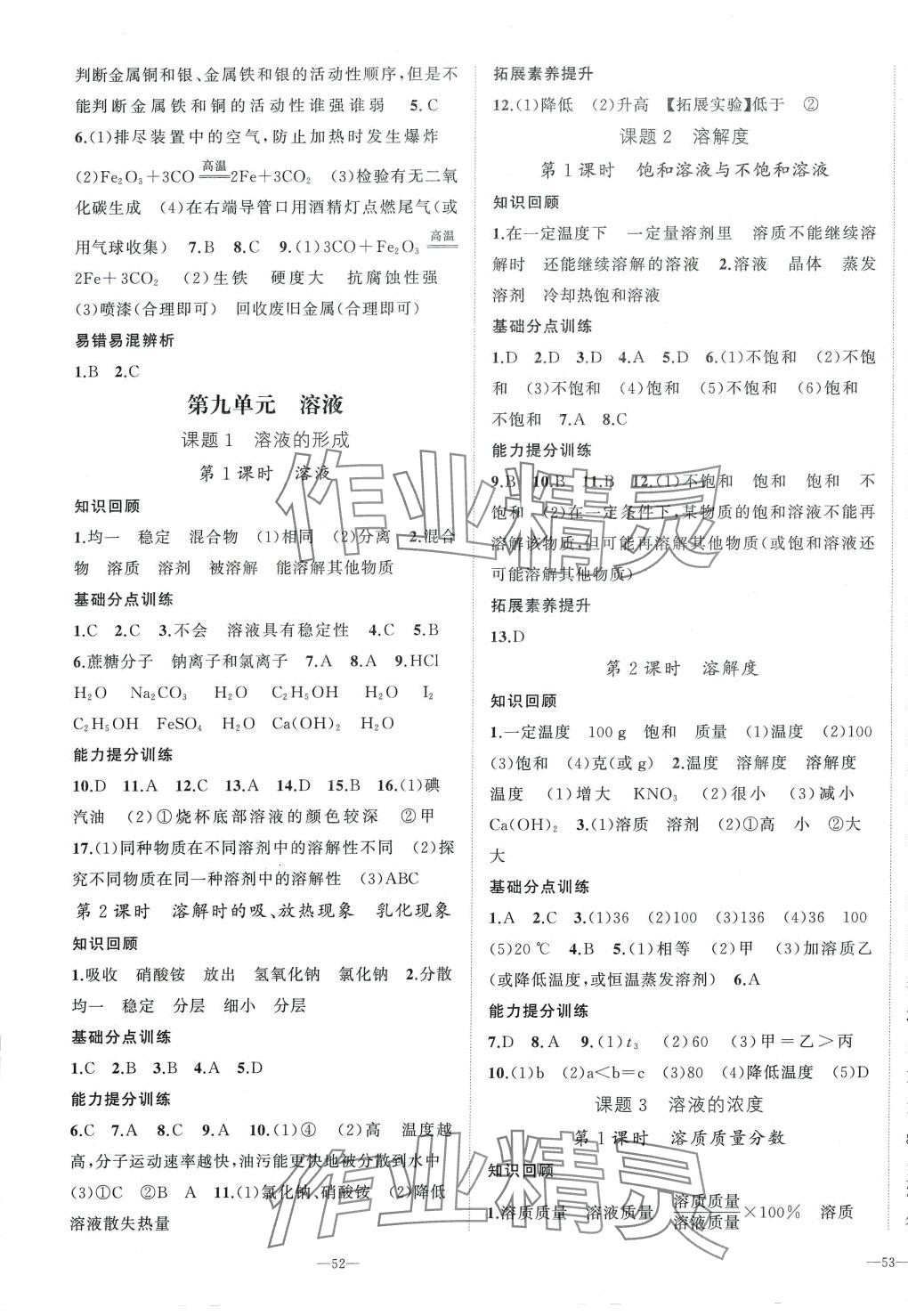 2024年我的作業(yè)九年級化學(xué)下冊人教版 第3頁