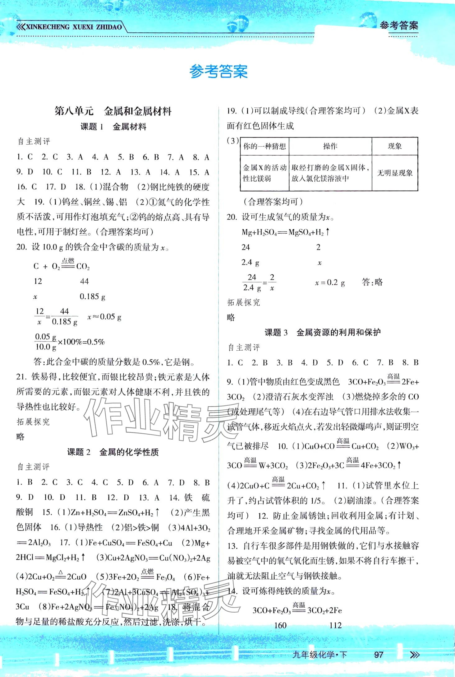 2024年新课程学习指导南方出版社九年级化学下册海南专版 第1页