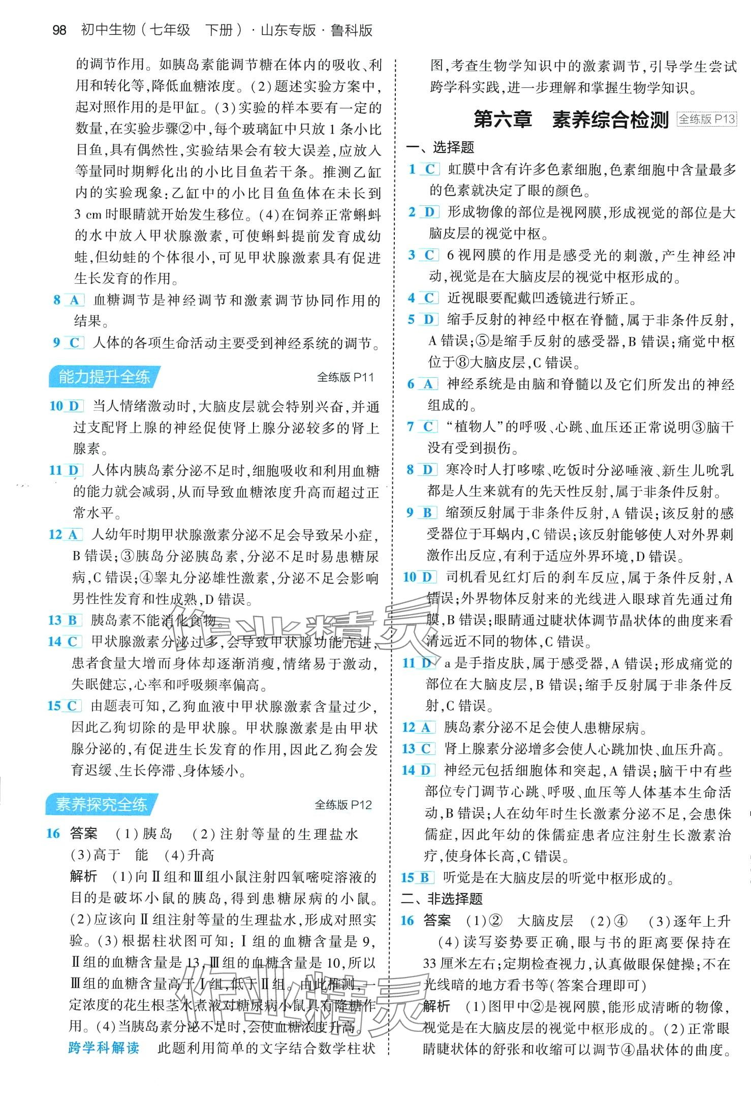 2024年5年中考3年模擬七年級(jí)生物下冊(cè)魯科版山東專版 第4頁