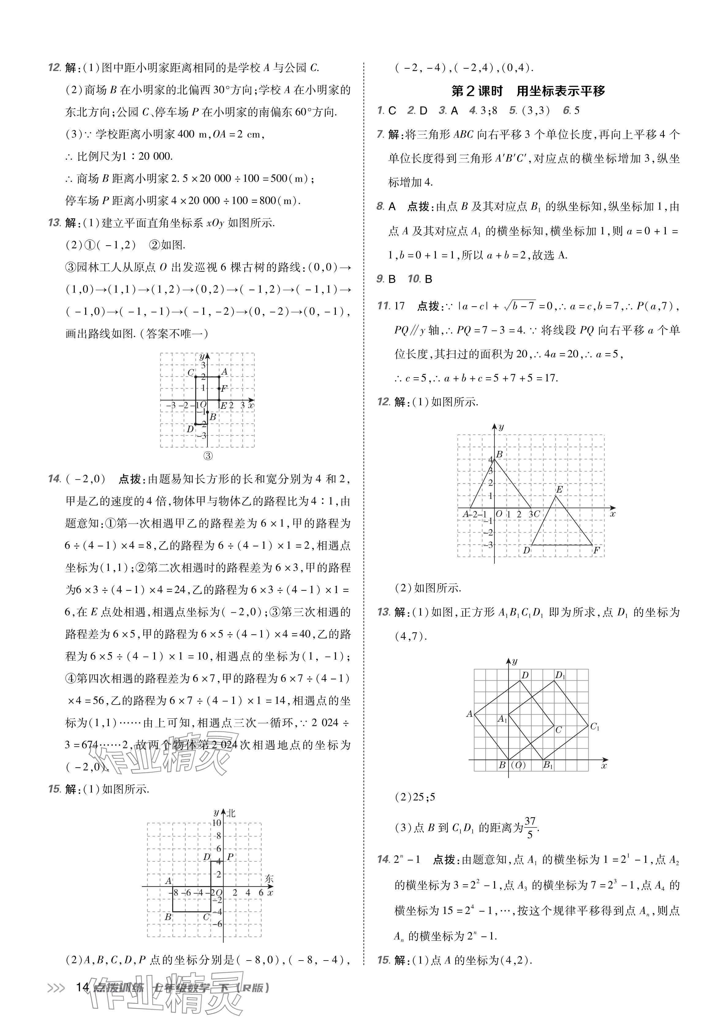 2024年点拨训练七年级数学下册人教版 参考答案第13页