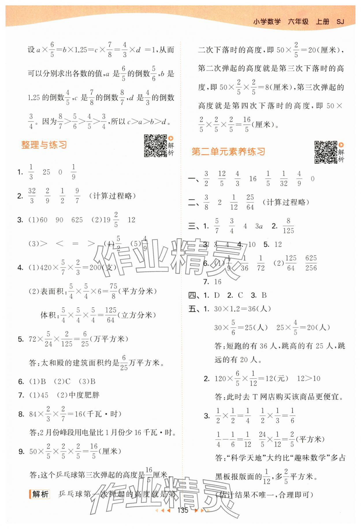 2024年53天天練六年級(jí)數(shù)學(xué)上冊(cè)蘇教版 參考答案第11頁(yè)