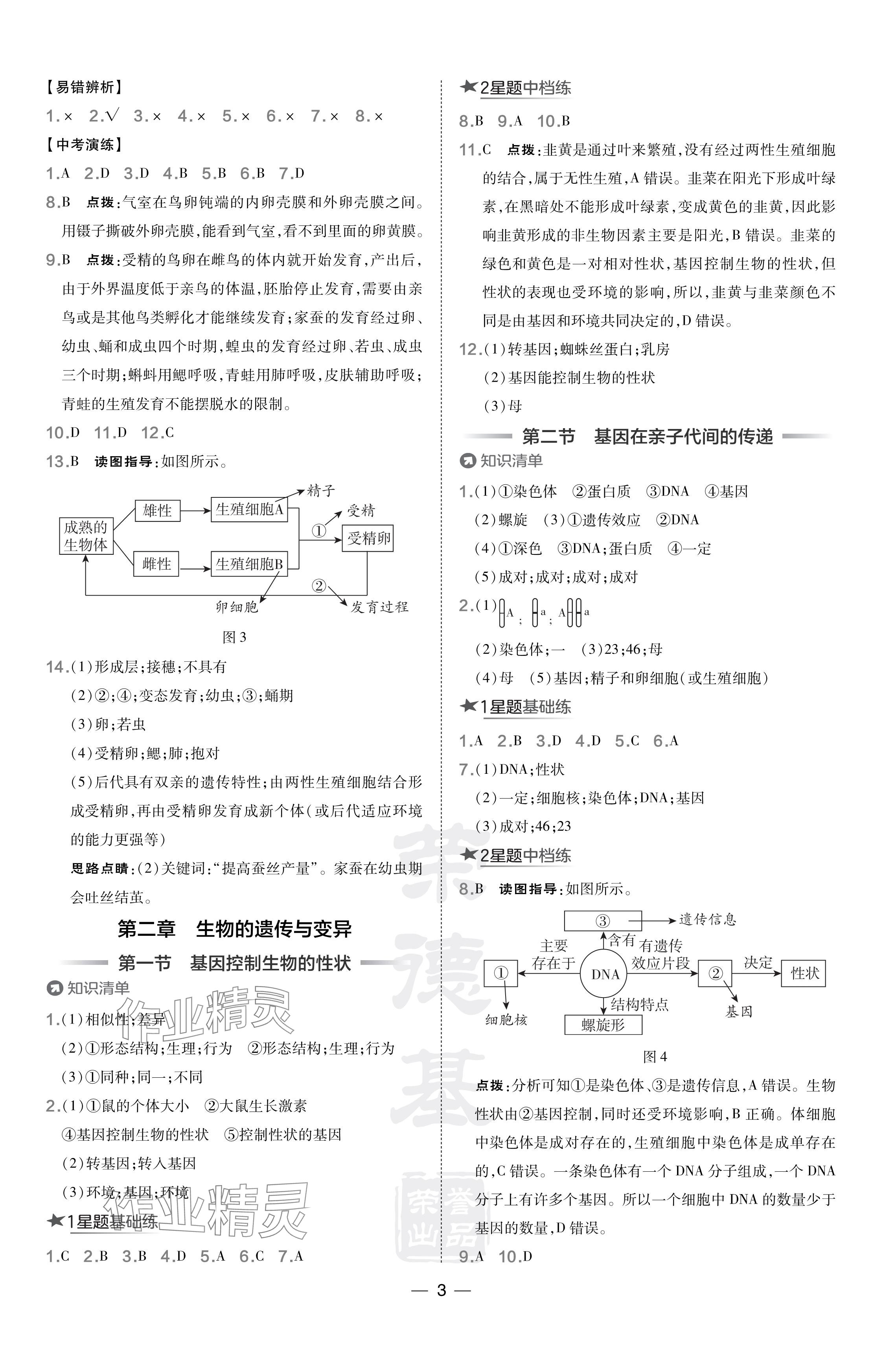 2024年點(diǎn)撥訓(xùn)練八年級生物下冊人教版 參考答案第3頁