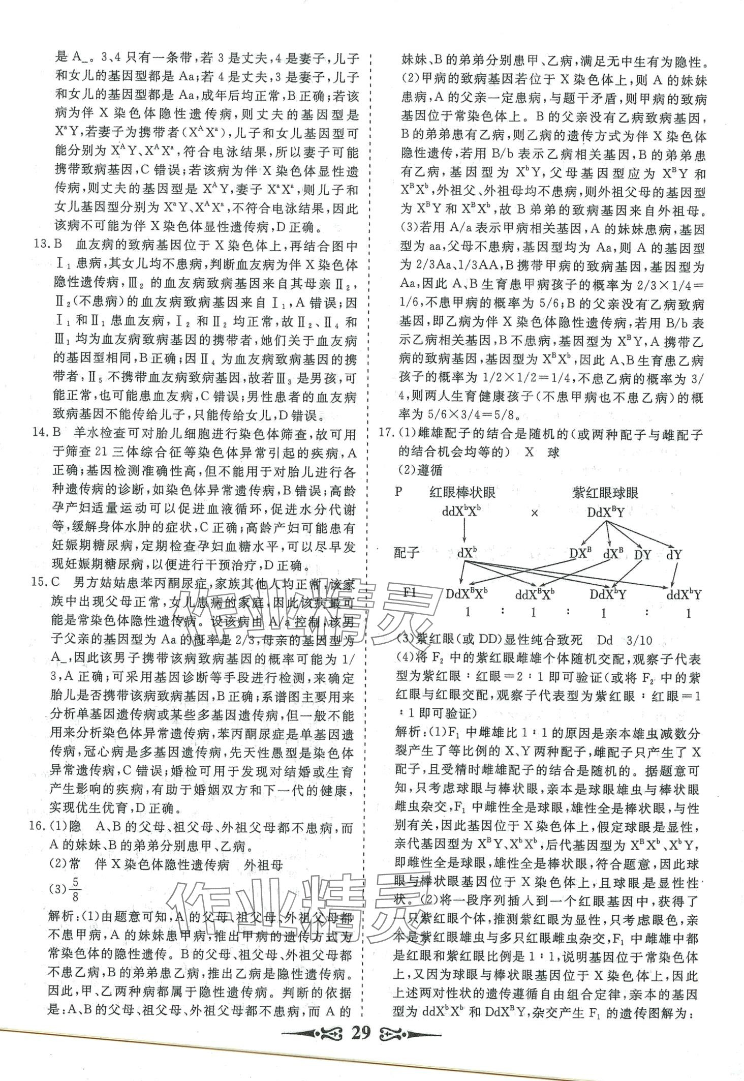 2024年168套优化重组生物 第31页