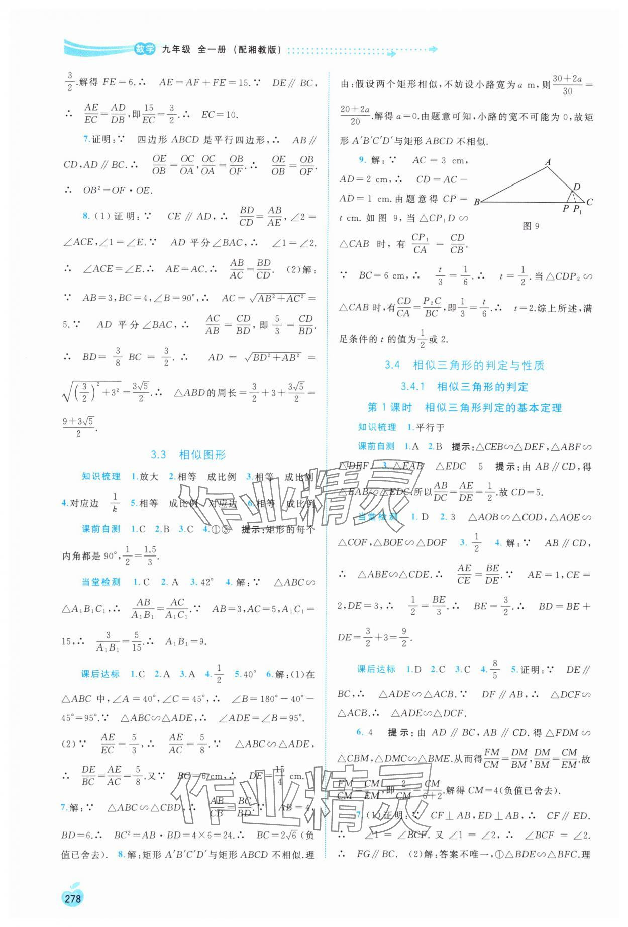 2023年新課程學(xué)習(xí)與測(cè)評(píng)同步學(xué)習(xí)九年級(jí)數(shù)學(xué)全一冊(cè)湘教版 第10頁(yè)