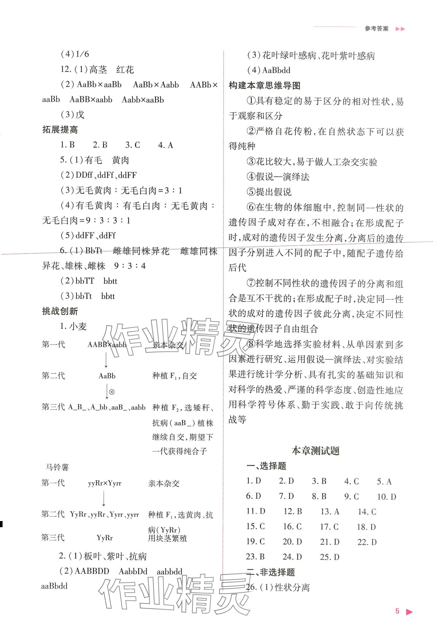 2024年普通高中新課程同步練習(xí)冊高中生物必修2人教版 第5頁